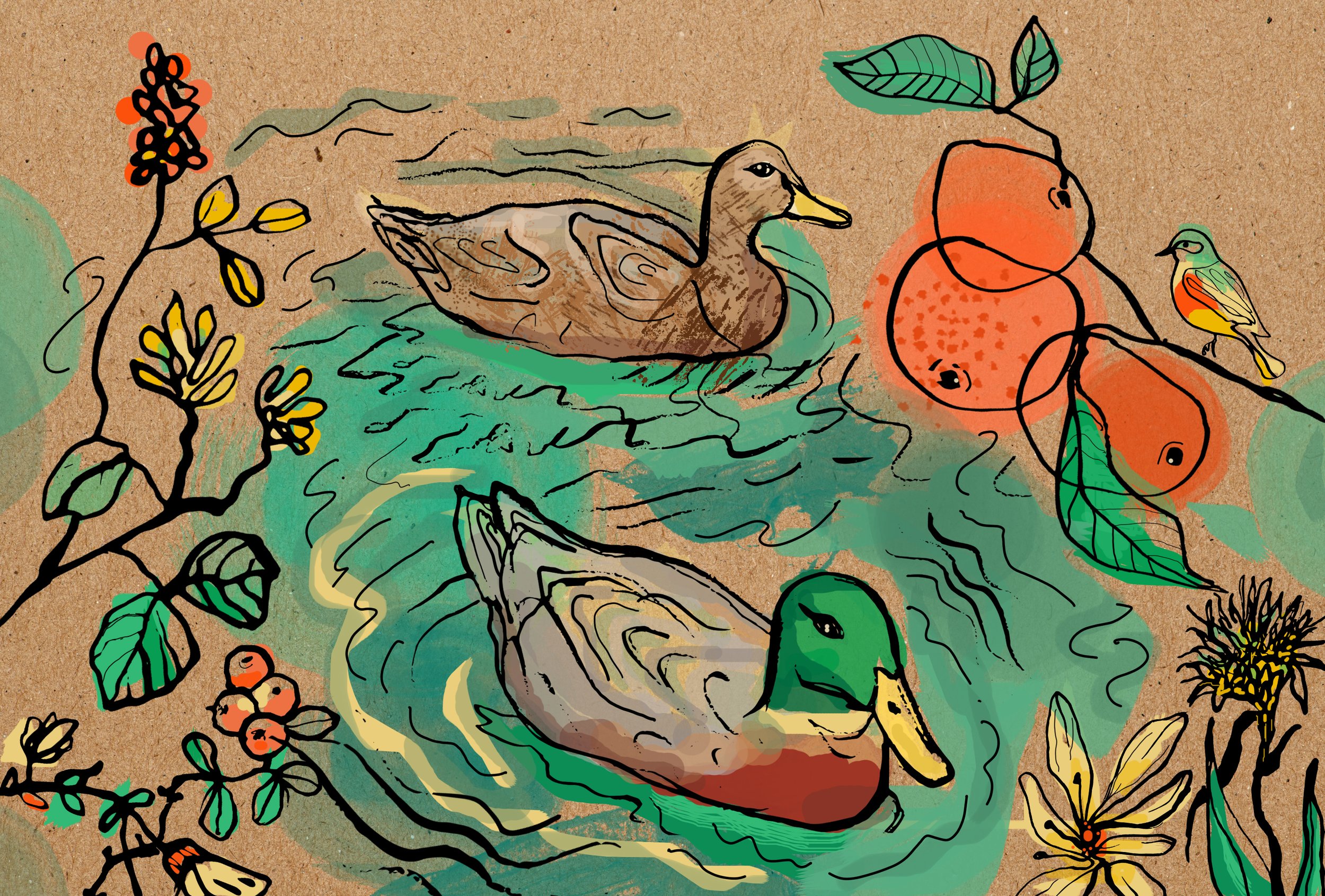 Greeting card "The Drake and the Hen"