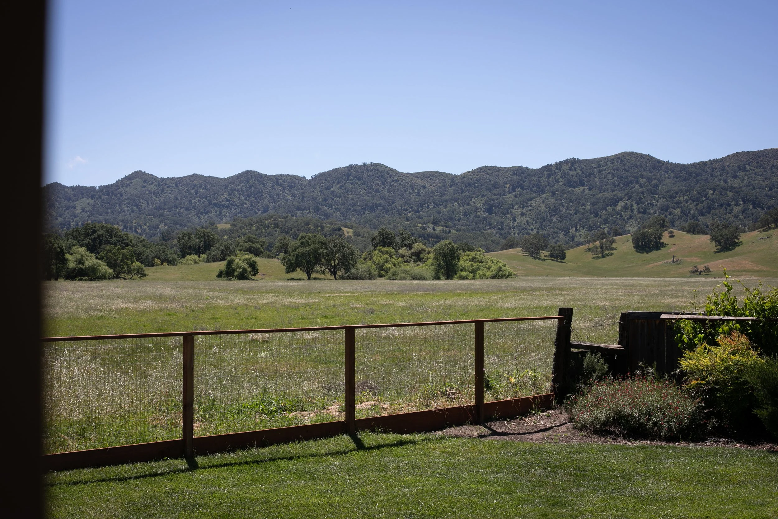 JAMES cannon 42026-4098.jpg