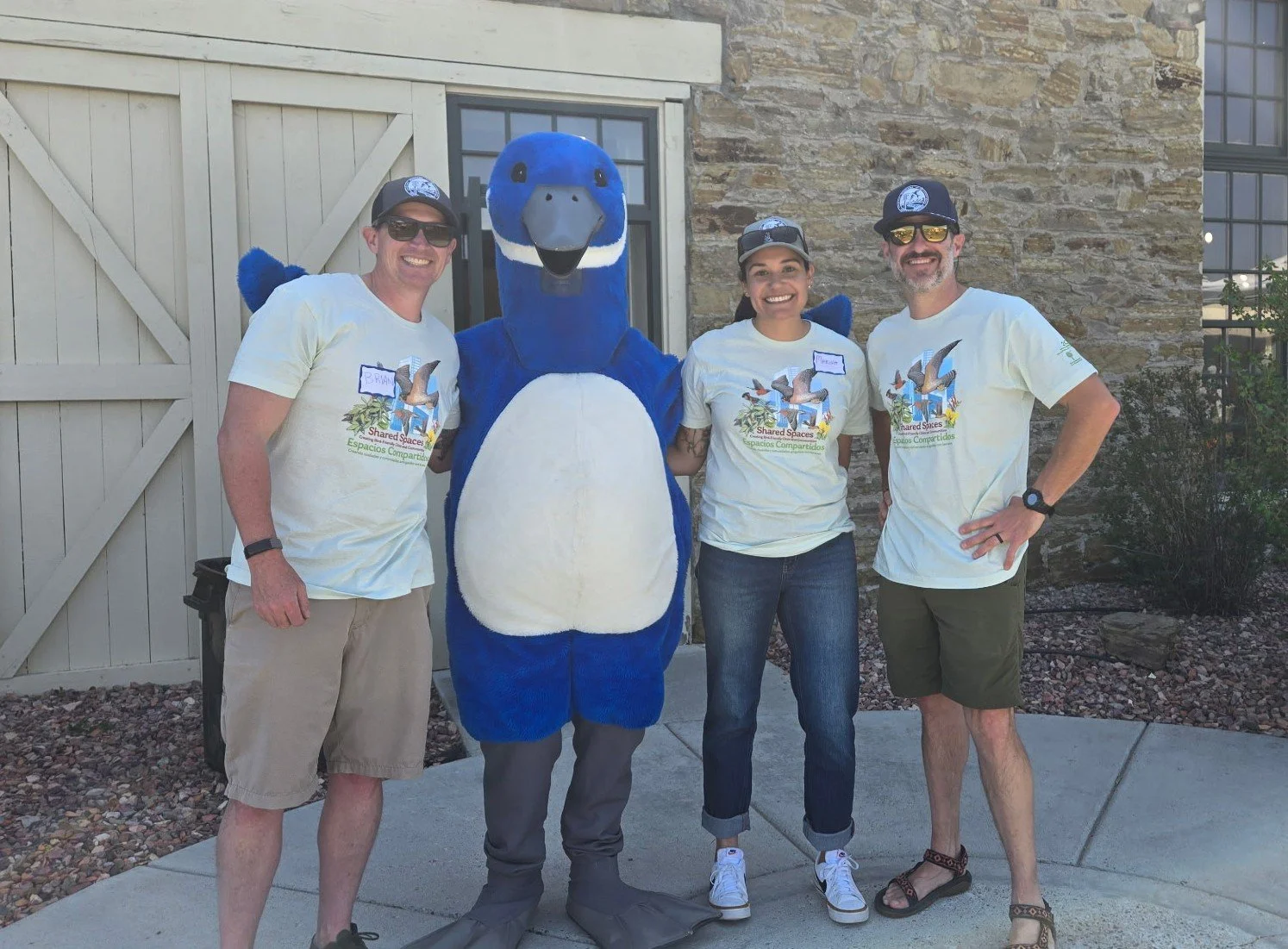 Volunteer at World Migratory Bird Day