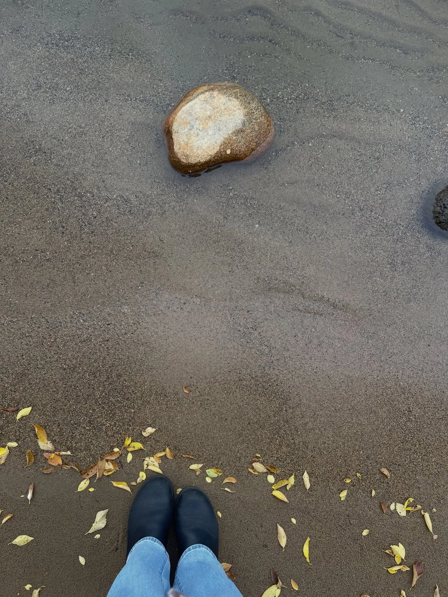 Six of thirty now hang on the attic wall.🤍 
The Lost Love Letters collection. A special, limited series of thirty original pieces of art. 
These pieces were painted in the in-between moments, off 100 days of painting in a row, when doubt had a voice