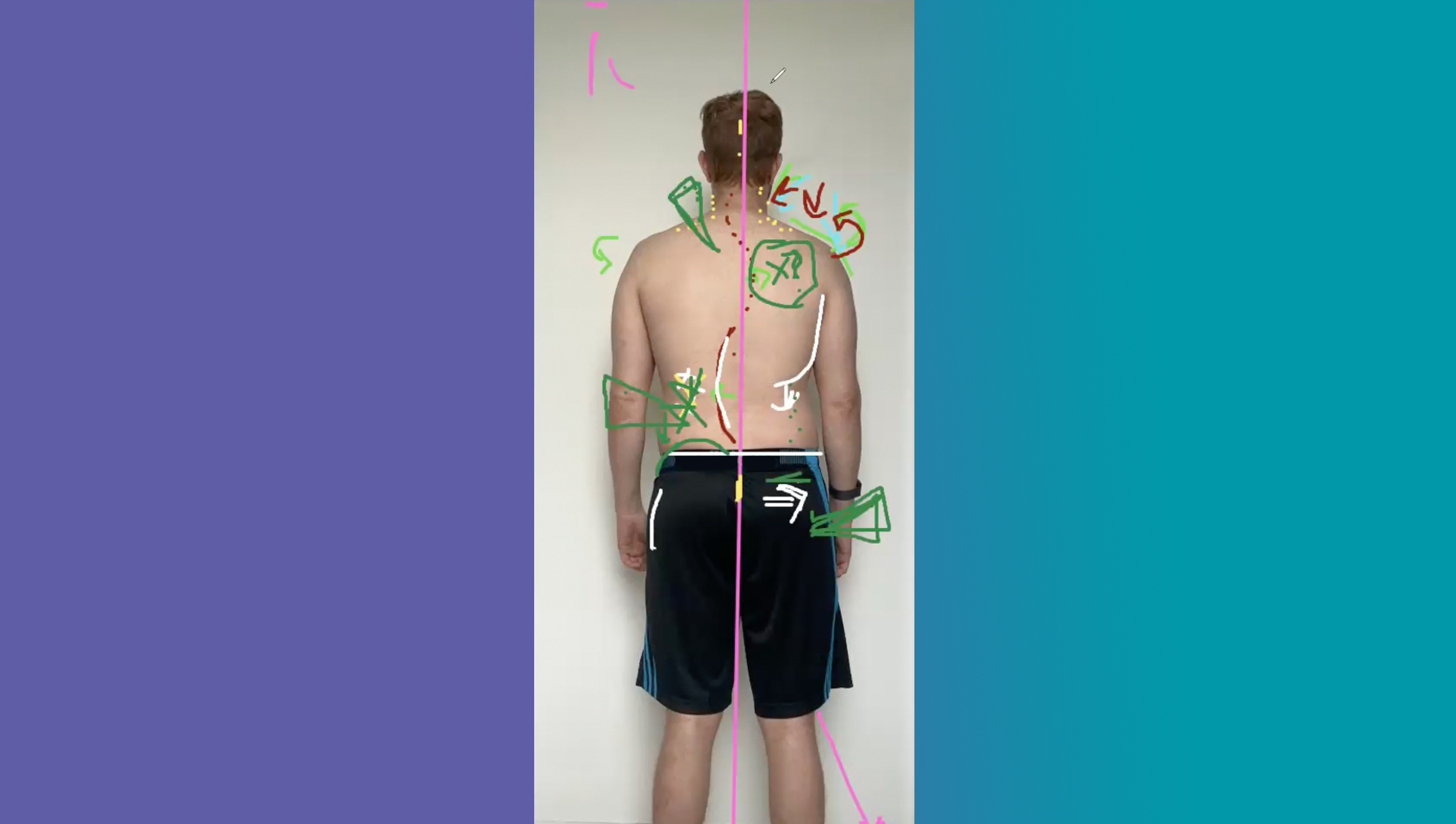 Sample CSA For Website.png