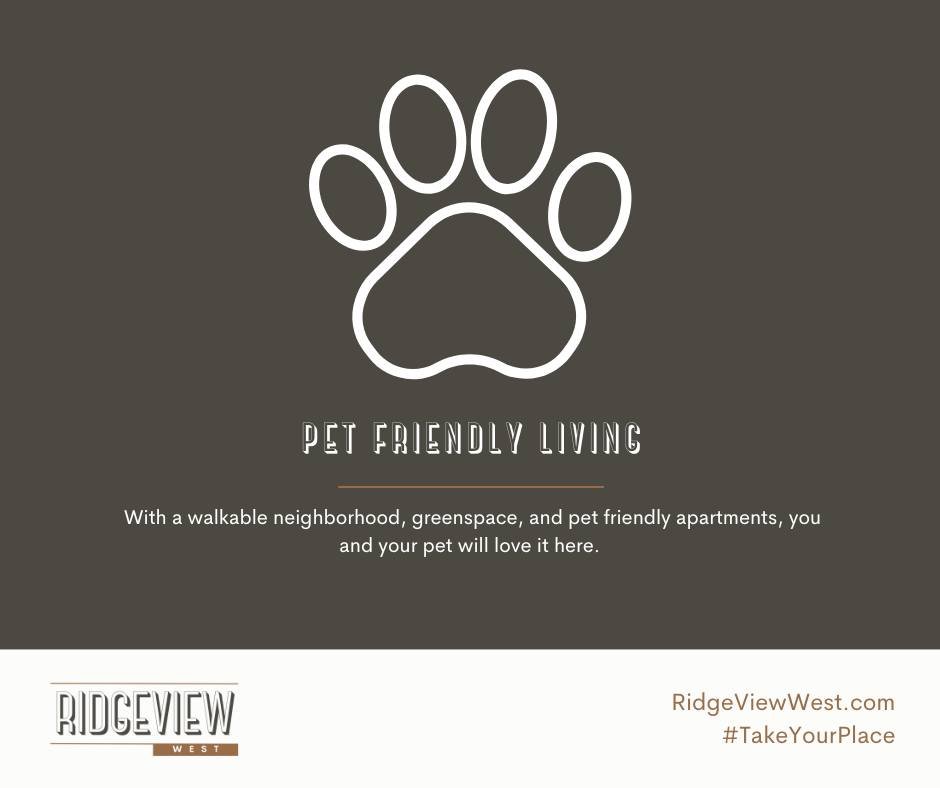 We get it. Your dog&rsquo;s approval matters. With a walkable neighborhood, green space, and pet-friendly apartments, RidgeView West makes tails wag. 🐾

#PetFriendlyLiving #DogsOfRidgeView #LuxuryForYouAndThem
