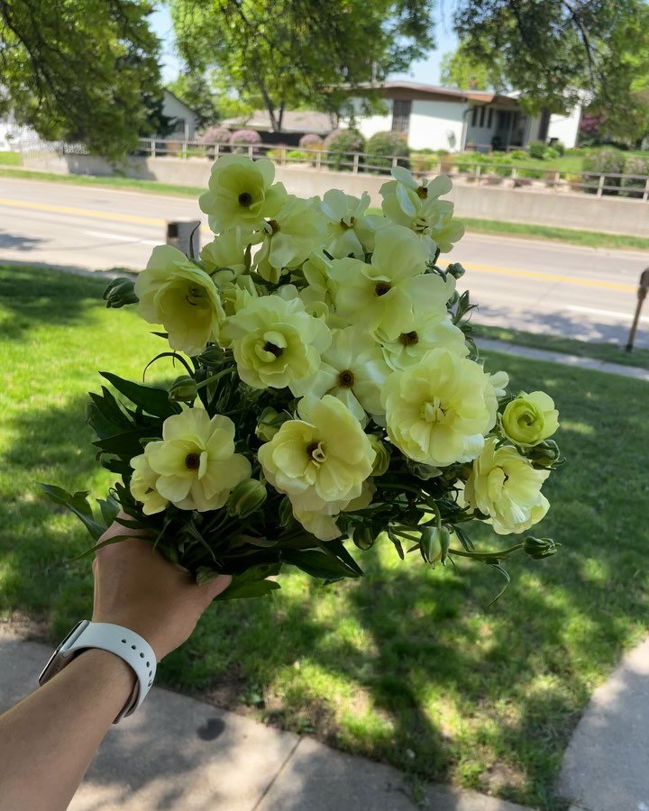Wowwie. Cannot wait to give some deserving mamas/friends/significant others/loved ones some flowers this weekend!! It takes a village, and sometimes flowers say just what you need when words can&rsquo;t.
Happy weekend! 🌼🌞✨🫧🩵