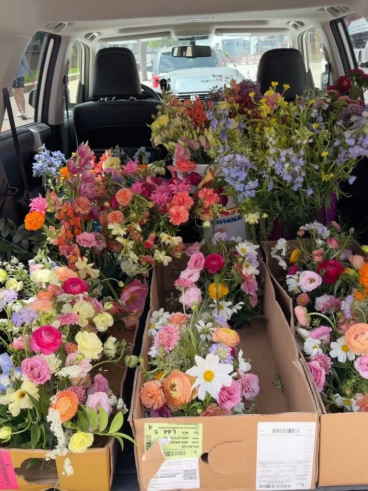 Weekend recap of flowering some really special ladies&rsquo; weddings!
Bailey &amp; Chandler on Friday had some of the most fun flowers I&rsquo;ve ever designed with 🪩🩷 I also got to make a bridal purse for the first time - nerves!!
Kim &amp; Conne