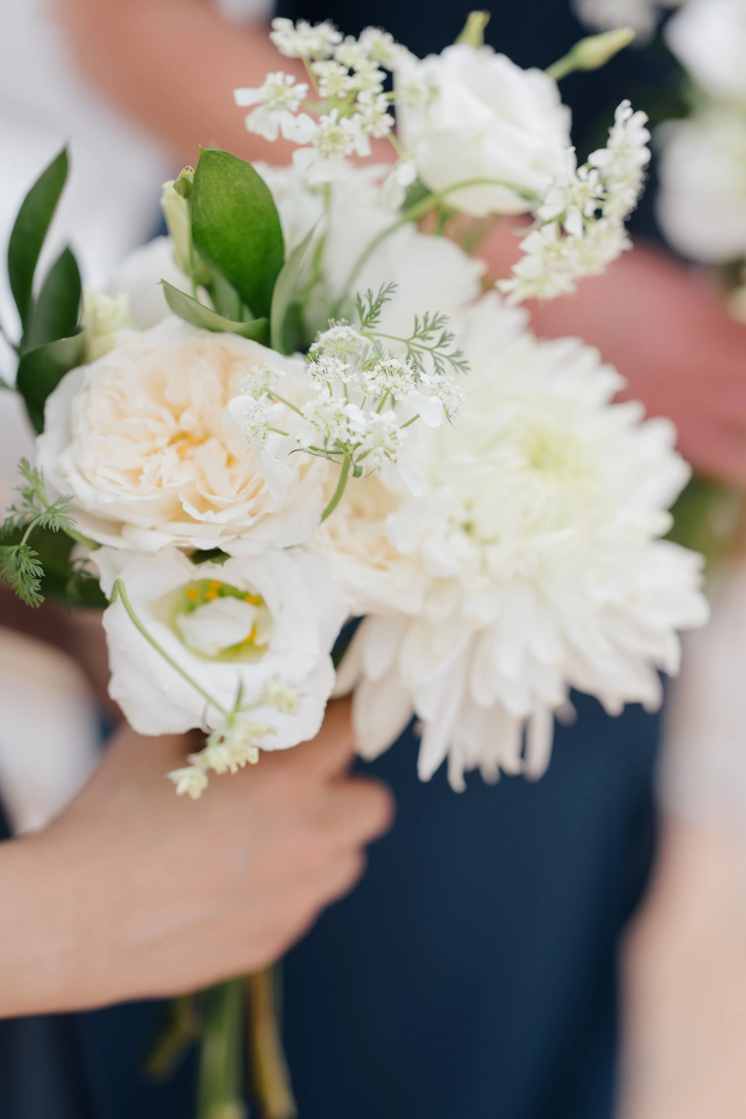 Anna Brace Photography