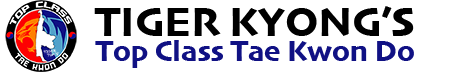 TopClassTKD