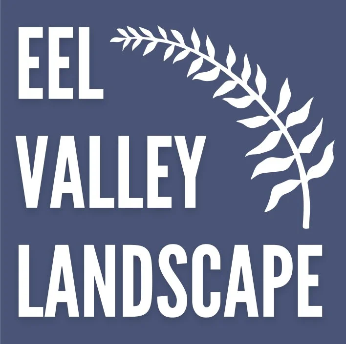 Eel Valley Landscape