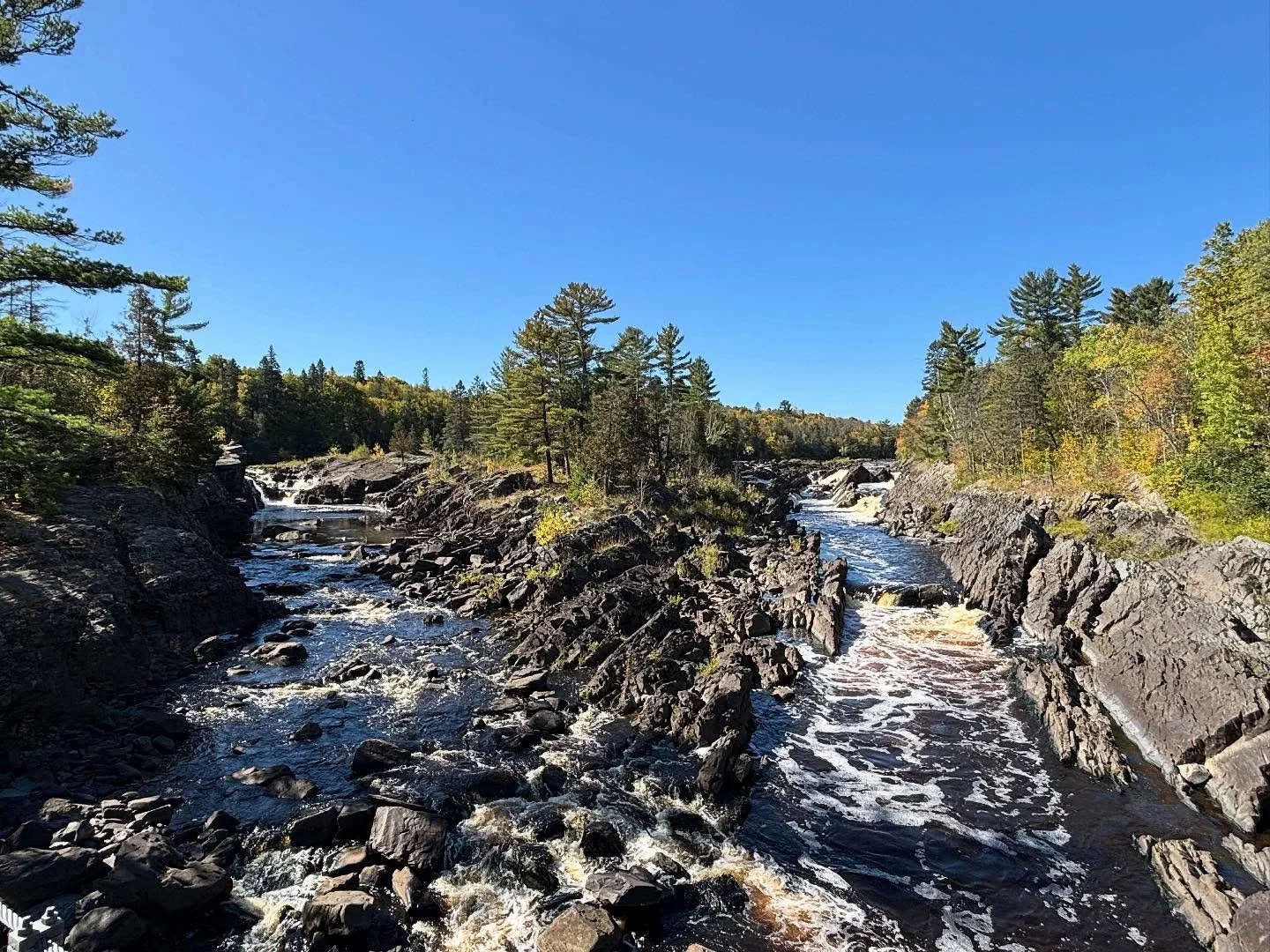 Sassy Daffodil&rsquo;s &ldquo;staff&rdquo; retreat was refreshing, grounding and provided a great reflection opportunity among the waterfalls, river, aspens, and season&rsquo;s final native flowers.

8 mile hike with almost 2 straight hours of no oth