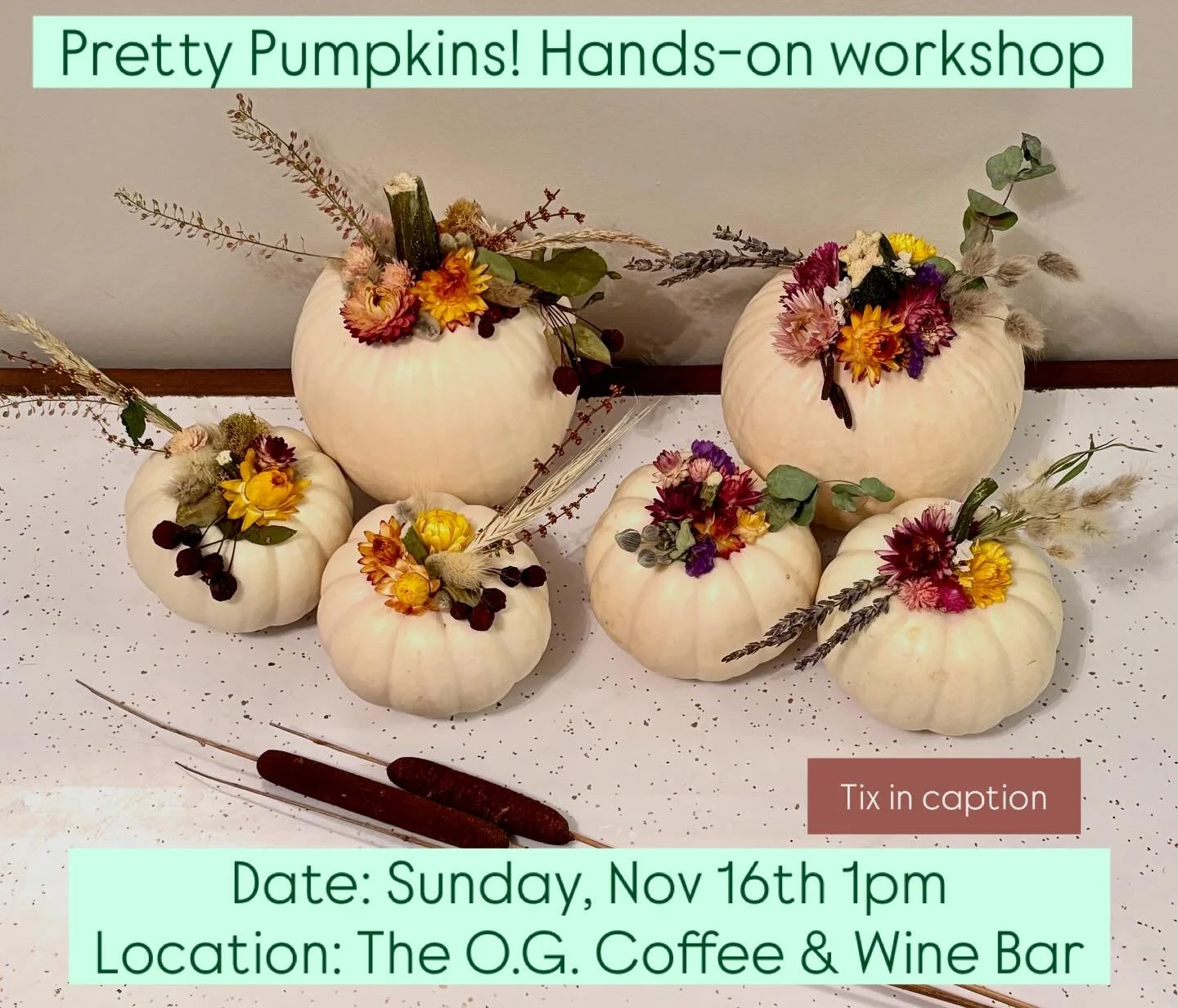 Sassy Daffodil presents:
Pretty Pumpkins! Hands-on Workshop
Sunday Nov 16th 1pm
at The O.G. Coffee &amp; Wine Bar

Get tickets 🎟️ &mdash;&gt; Flower Bar Event link in bio

Join us in person for a fun and creative session where you&rsquo;ll get to de