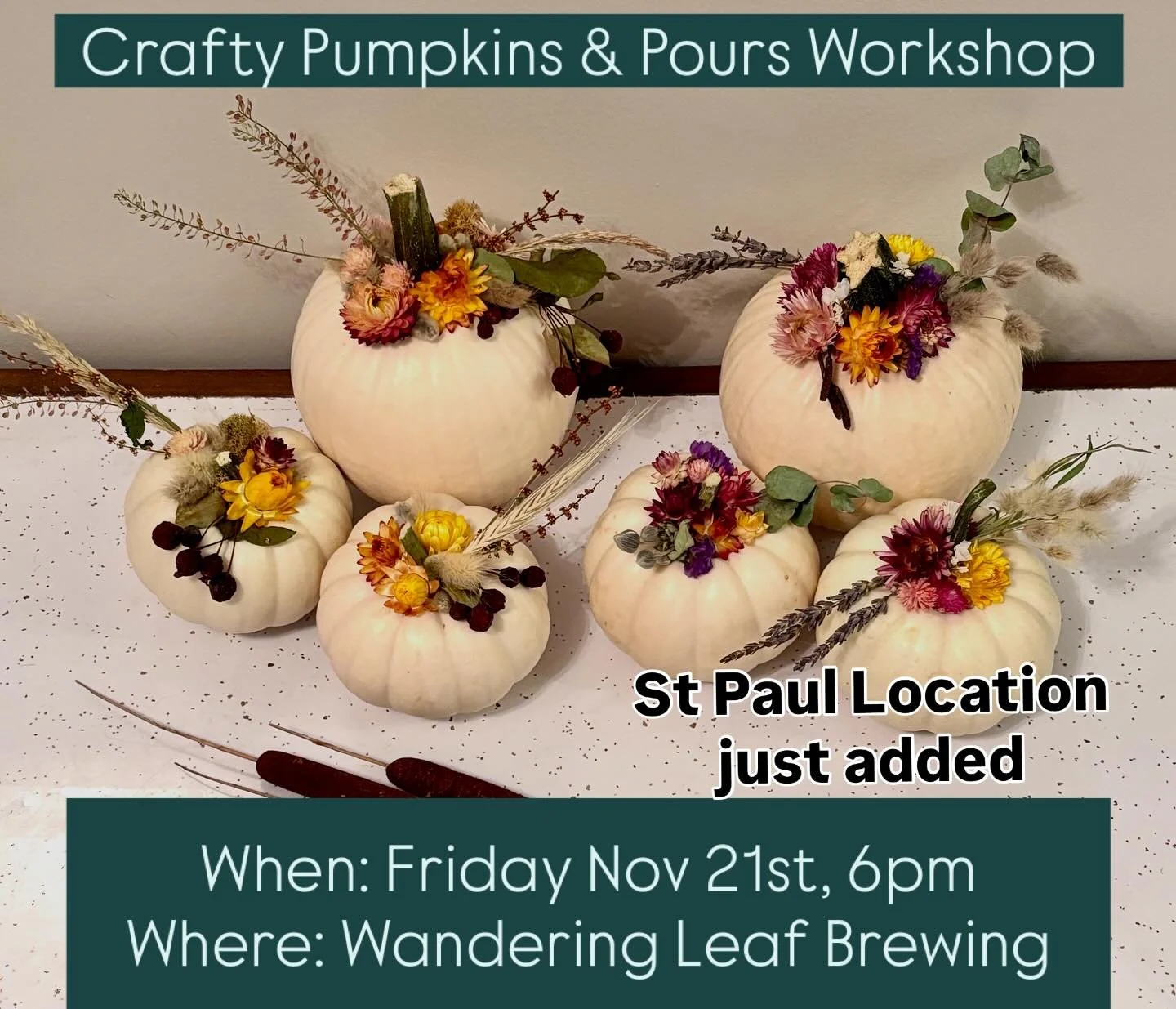 New workshop just added in St Paul:
🌷Crafty Pumpkins &amp; Pours Workshop!🍺
Friday Nov 21st 6pm
Wandering Leaf Brewing Company @wanderingleafbrewing
@sassydaffodil 

Get Tickets 🎟️ : Link in Bio &mdash;> Flower Bar Events

Join us in person for
