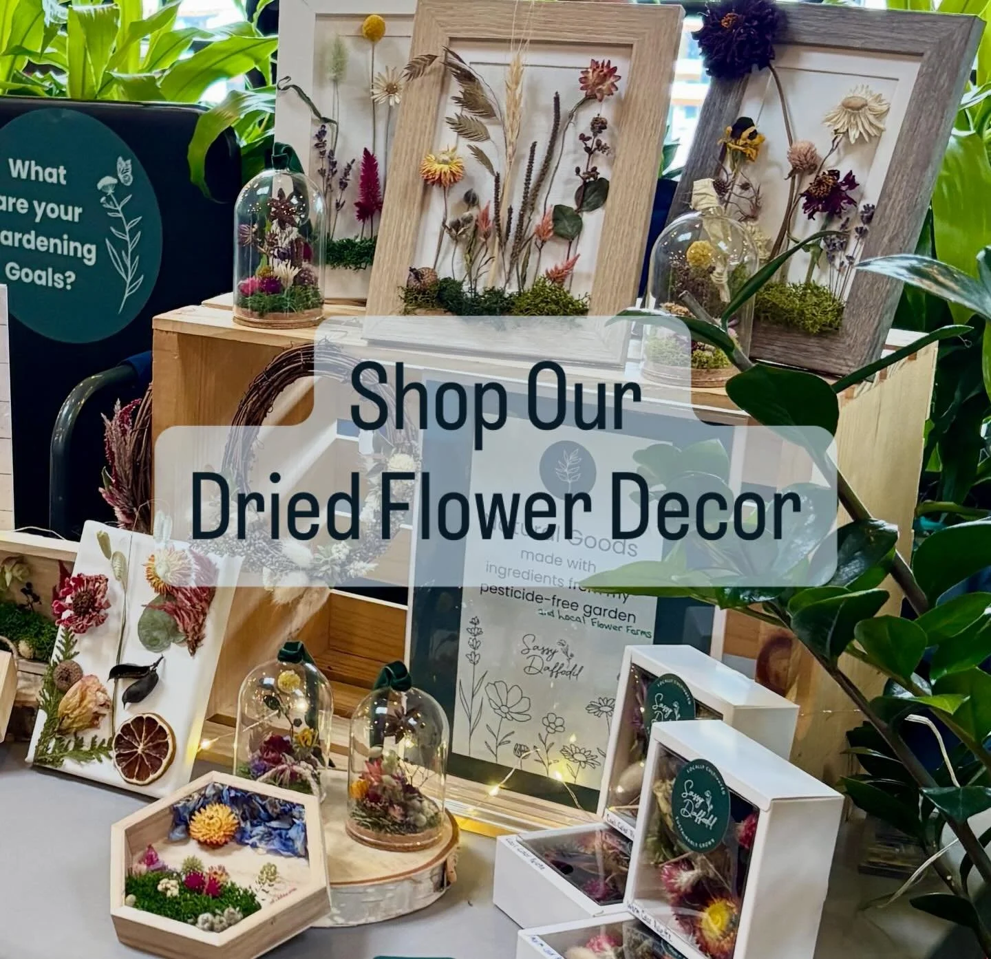 Sassy Daffodil Products available for purchase 🛍️

DM with your order request 
~ OR ~
Visit SassyDaffodil.com/shop to view product options, pricing and send email with Order Summary page screenshot.

Pickup or delivery are best since the dried flowe