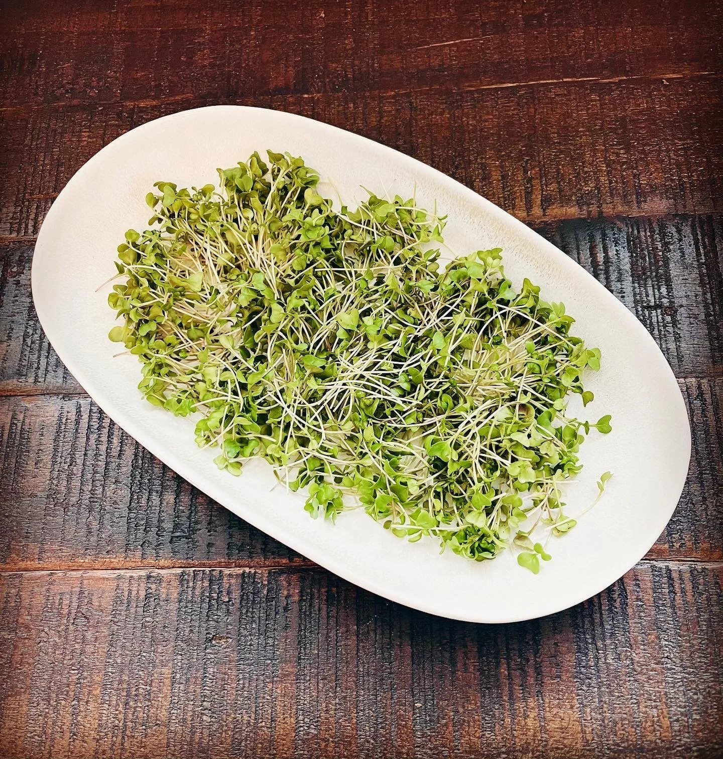Broccoli Microgreens plate.jpg