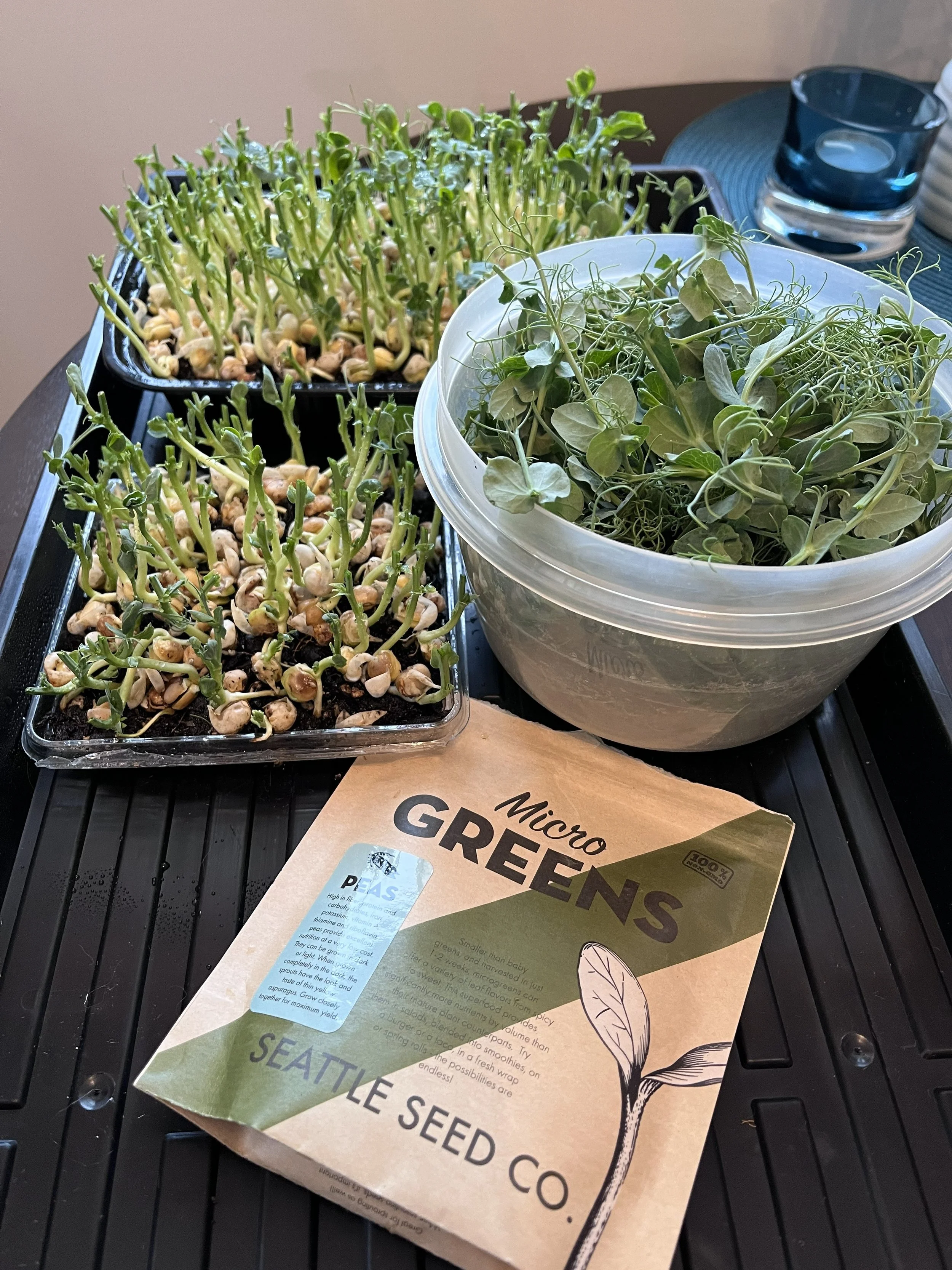 Pea Microgreens.jpg