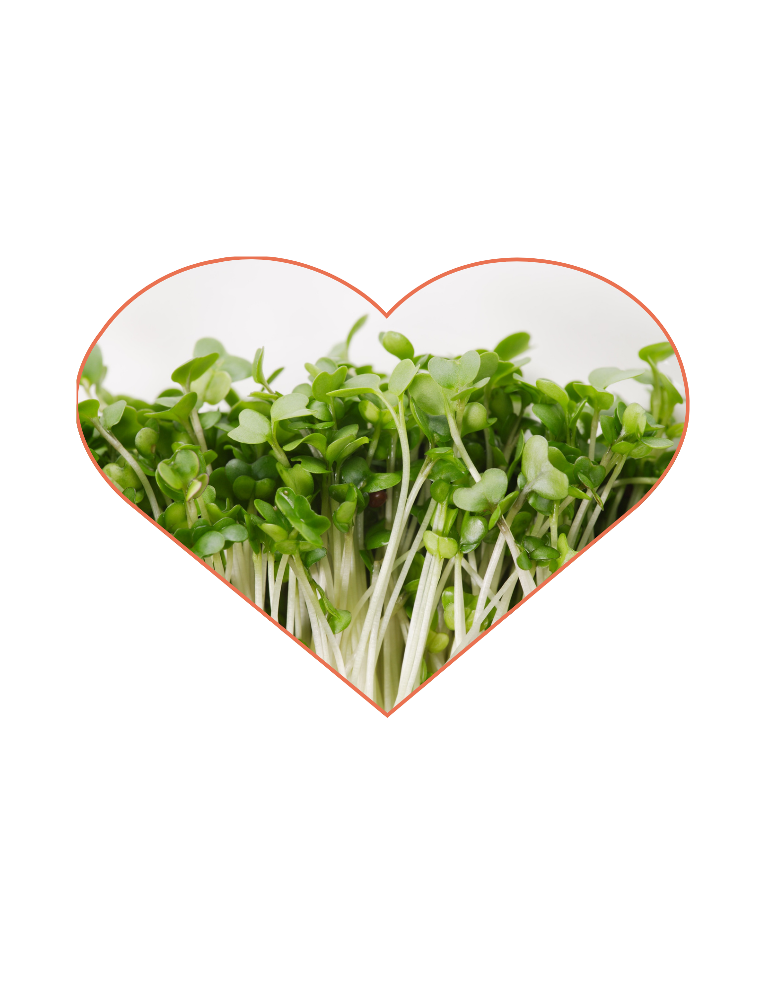 Microgreens & Sprouts Grow-Along