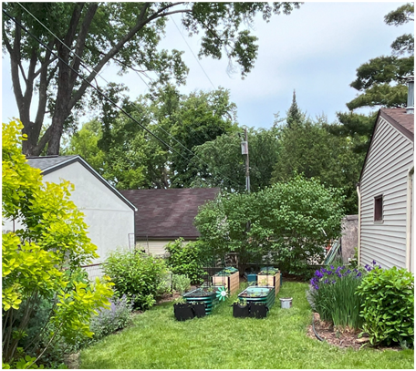 Garden raised beds.png