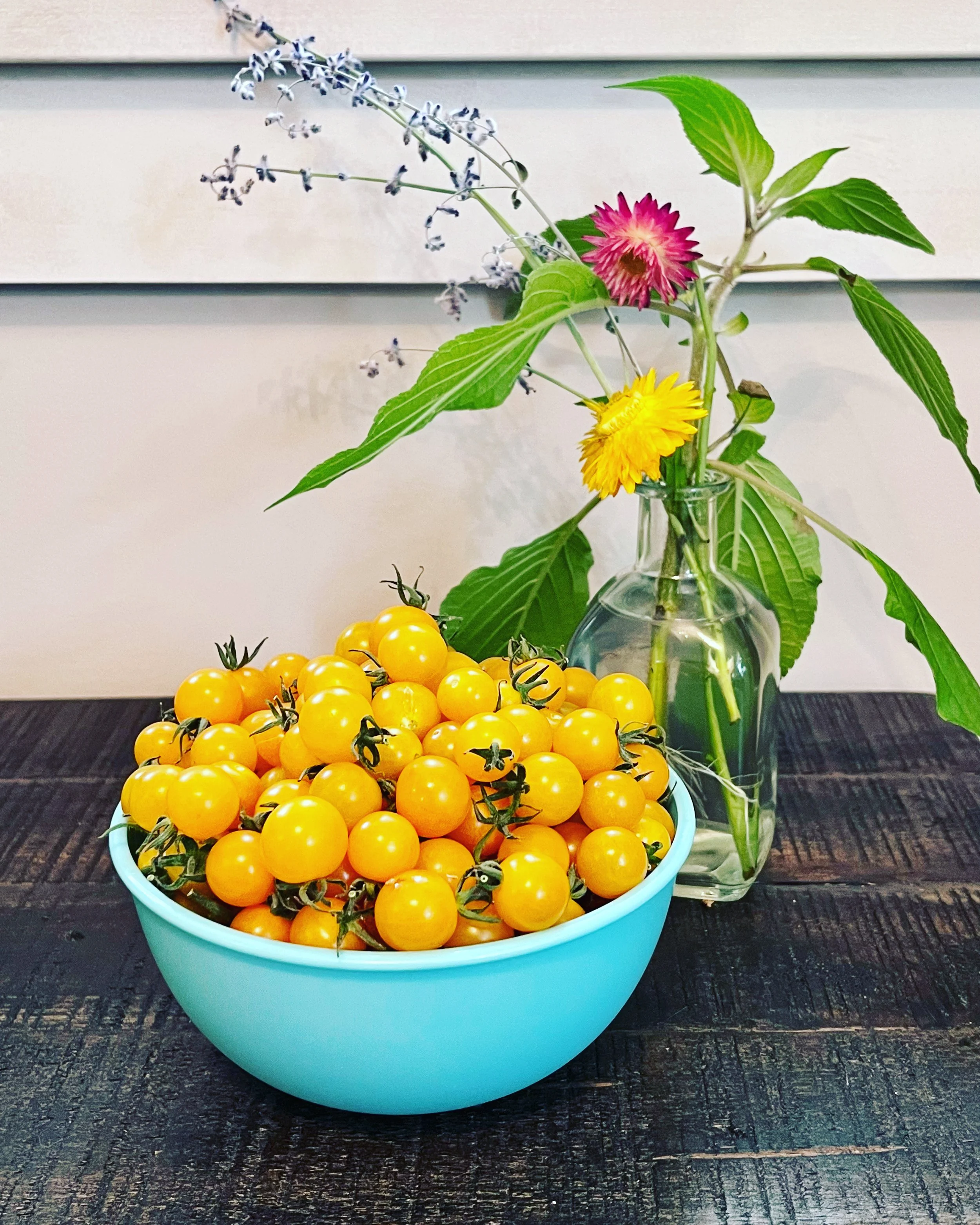 2026 Seedling Society: Seasonal Sessions