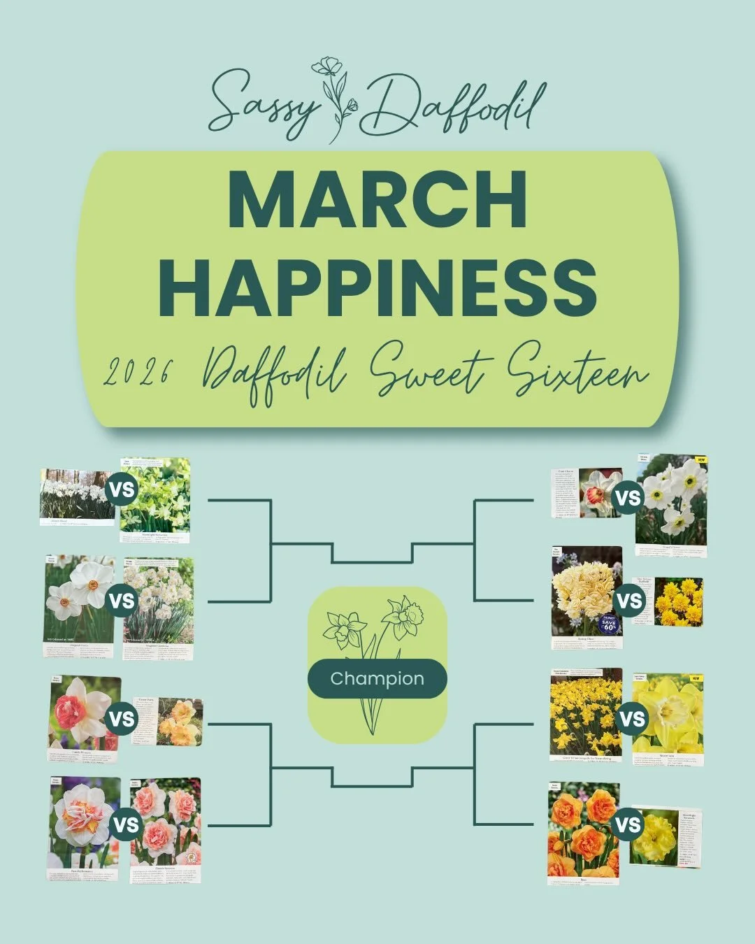 Who&rsquo;s your 🏆1? Announcing Sassy Daffodil&rsquo;s first March Happiness Daffodil Sweet 16 Tournament!! 🌼🏀

These ladies are known for their perseverance. This bracket is fierce. Is there going to be a Cinderella that surprises us? 

✅ Vote in