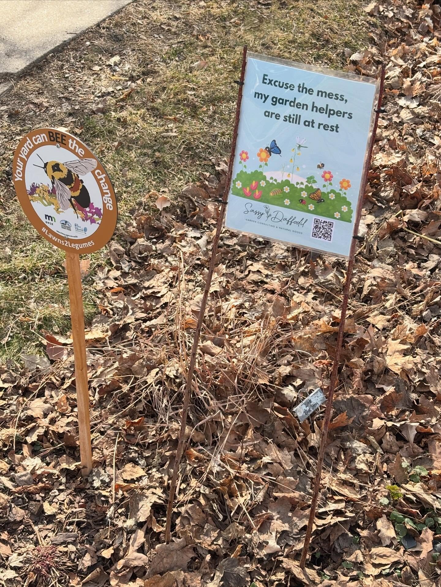 My signs are posted to help communicate with my neighborhood what I&rsquo;m doing in my front garden bed and why. 

The @bluethumbmn #lawns2legumes sign is permanent as it designates a native bed I planted. Each native plant is labeled for the curiou