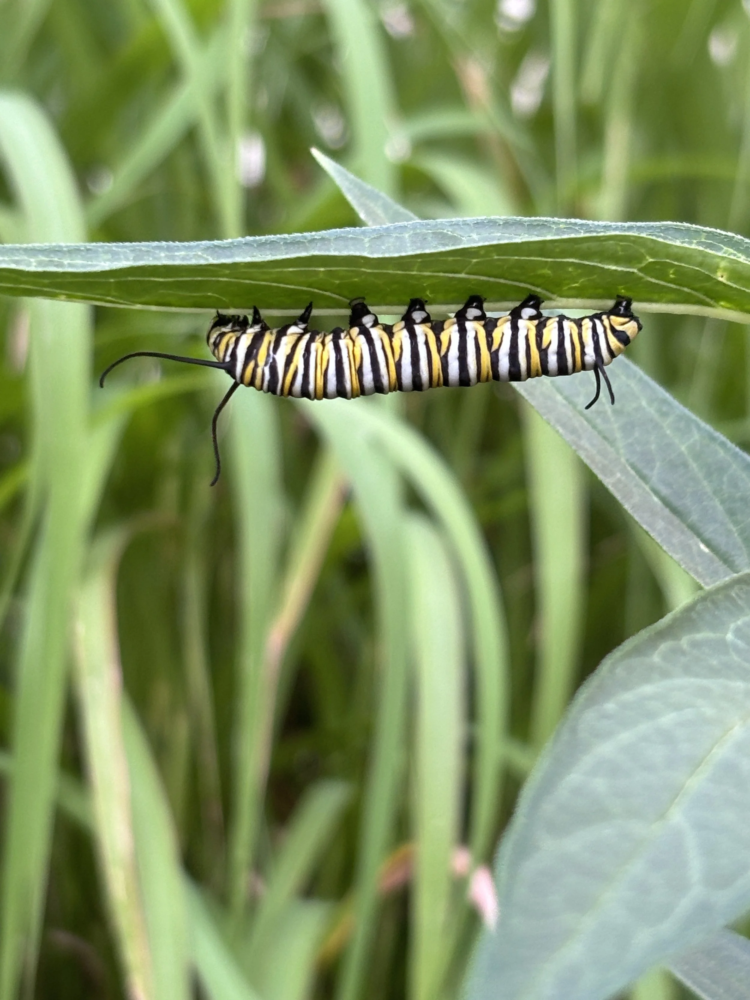 Do It HERself Workshop