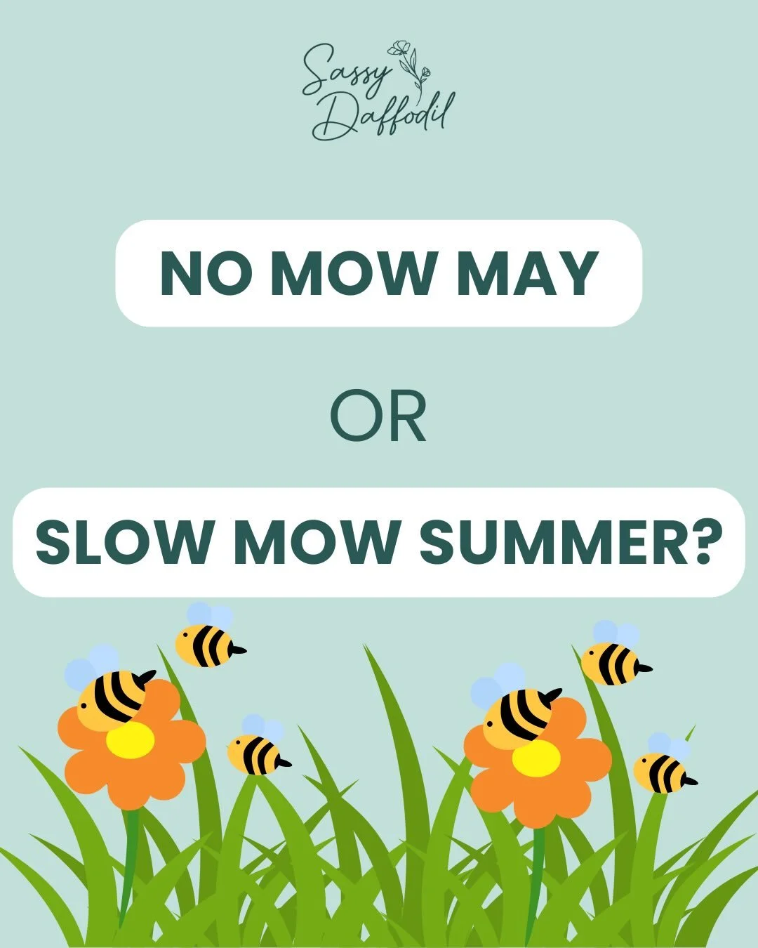🏡 Do you know why No Mow May is or is not beneficial in your yard? Have you heard of Slow Mow Summer? Here&rsquo;s a bit of info to help clarify where the benefits are and what is best for you and your pollinator friends. 🐝 

*
*
*
*
*
*
*
I am a g