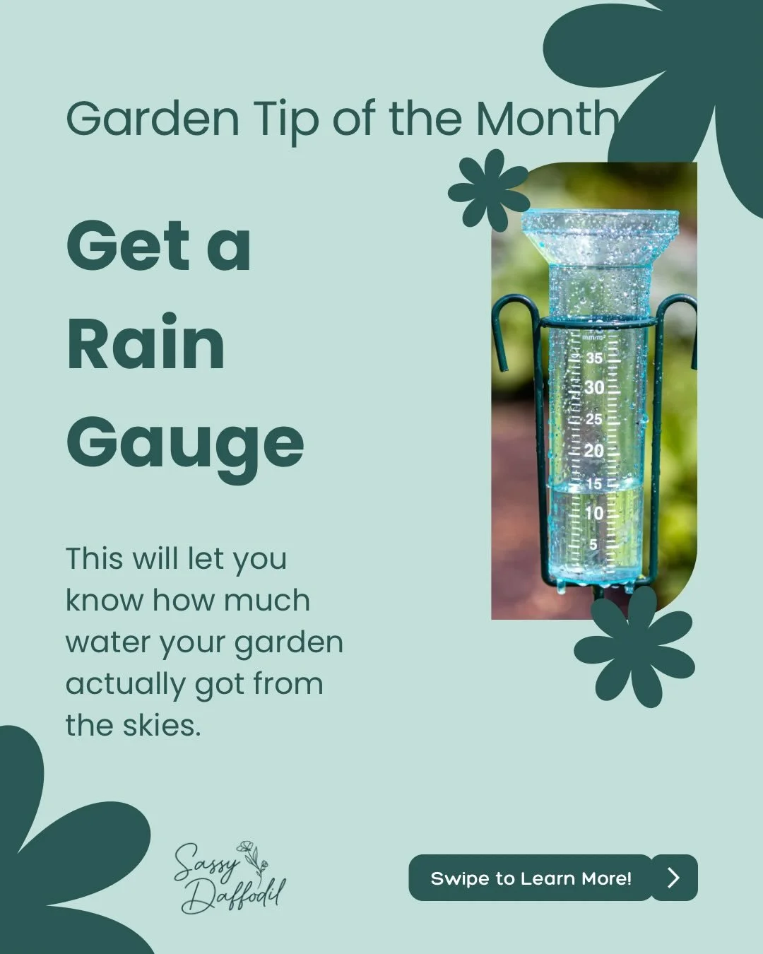 Take the guess work out of watering and get yourself a rain gauge! Your garden needs 1-2 inches of water per week, and what the skies don&rsquo;t provide, you&rsquo;ll need to supply. 


I am a garden consultant located in St. Paul, MN with a focus 