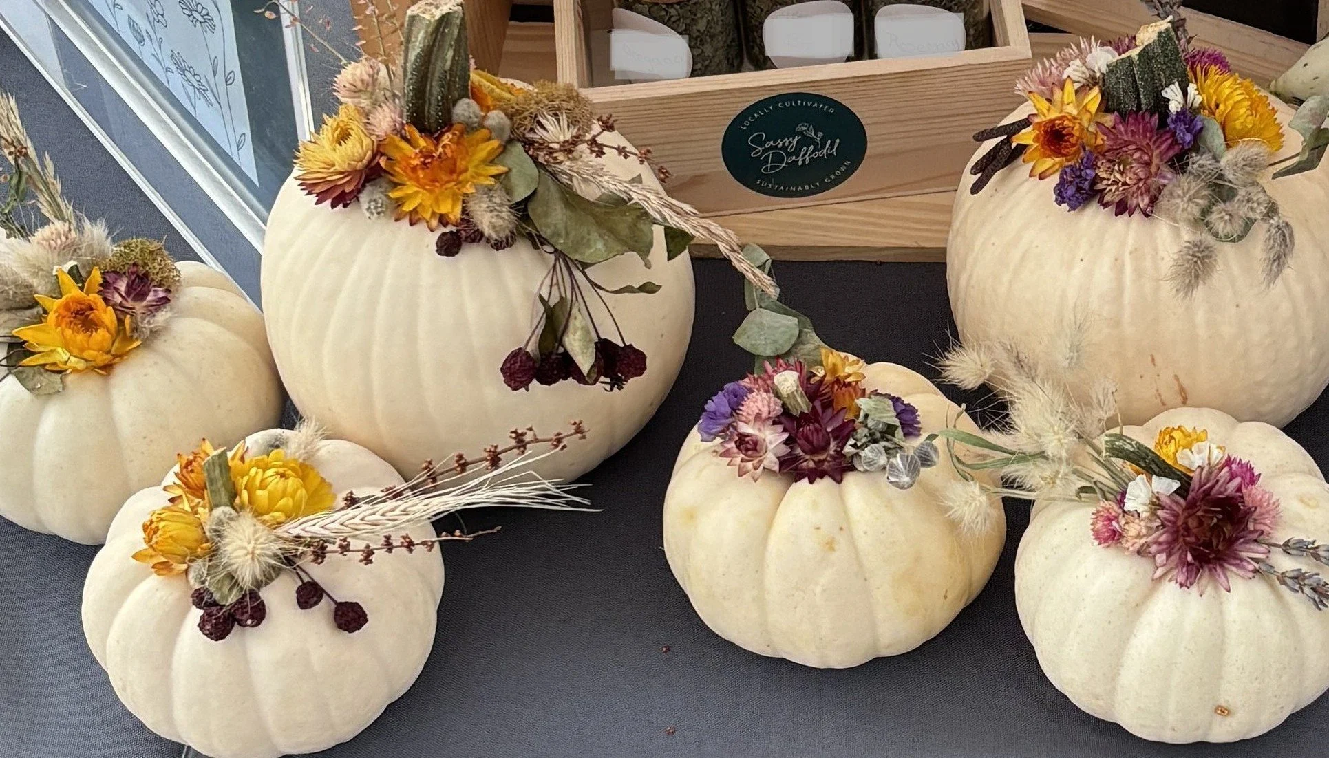 Pumpkin Collection.JPG
