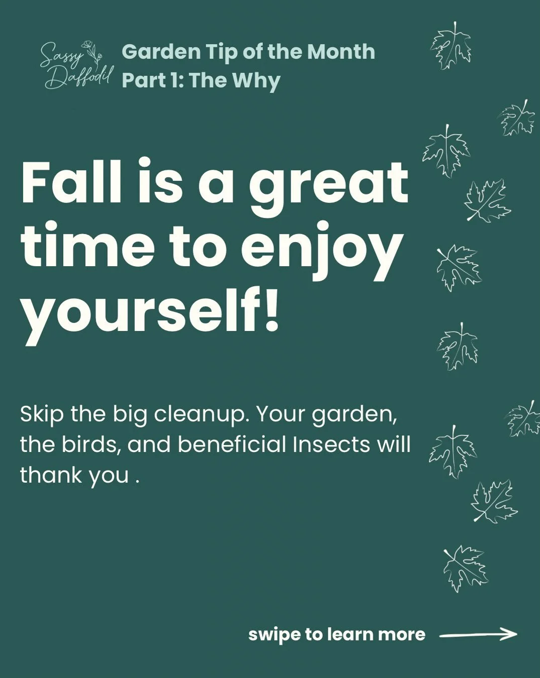 This is your sign to enjoy your time outside, protect our native pollinators, and skip the big clean up this fall. Stay tuned for Part 2: The How


I am a garden consultant located in St. Paul, MN with a focus on native plants, garden design, and ec