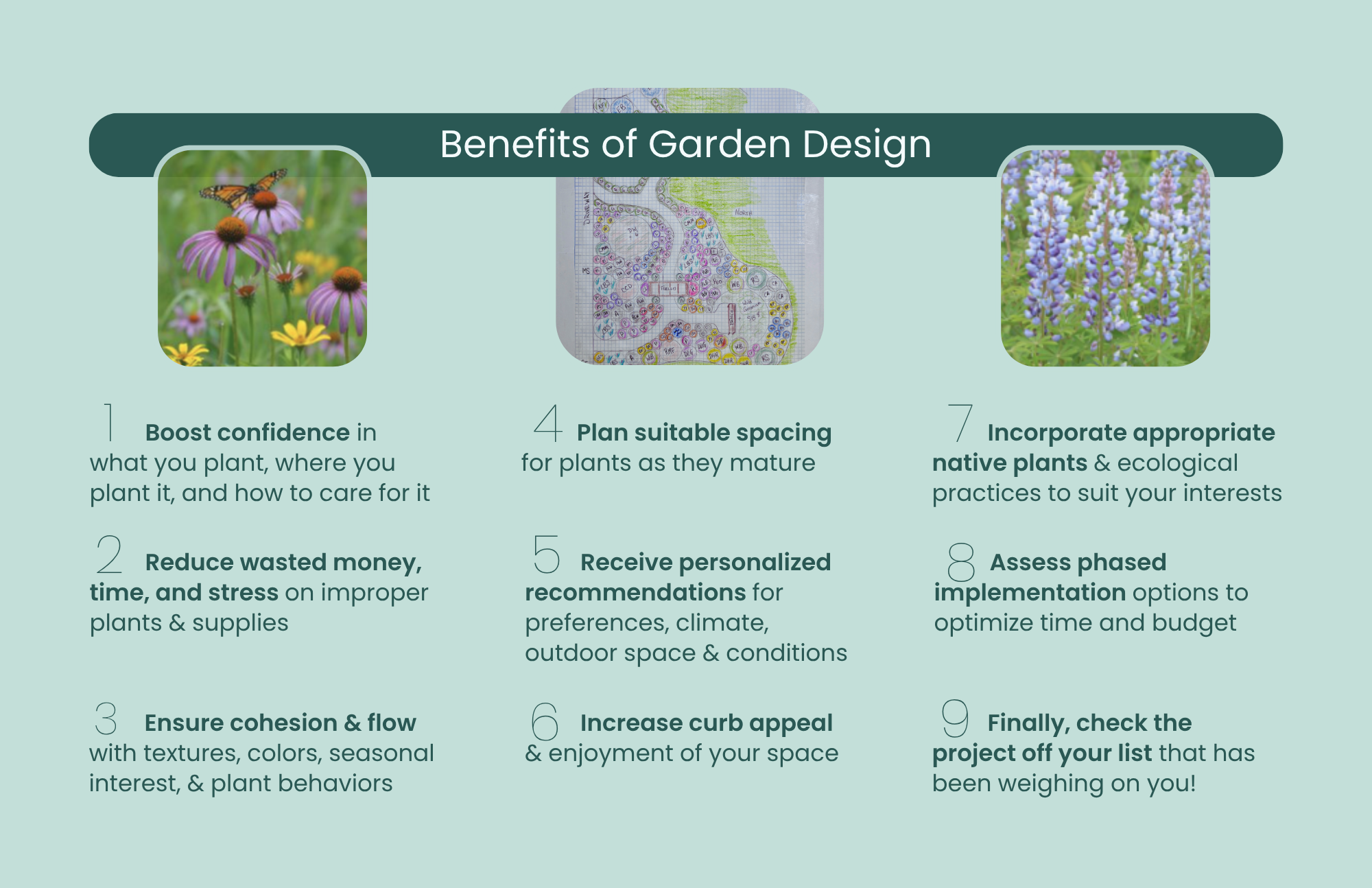 Benefits of Garden Design with pictures of monarch on a purple coneflower, a blue lupine and a design