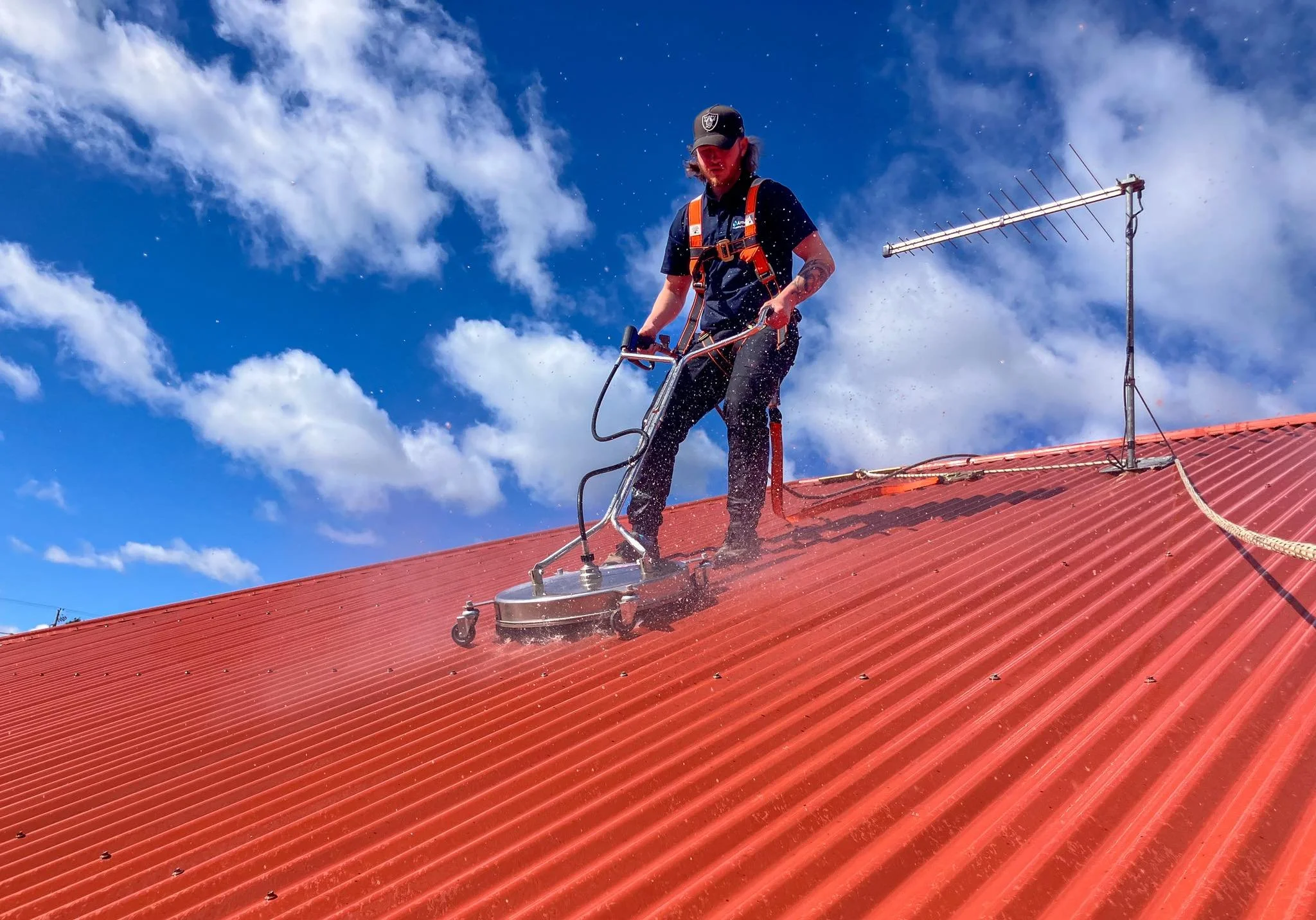 Roof cleaning