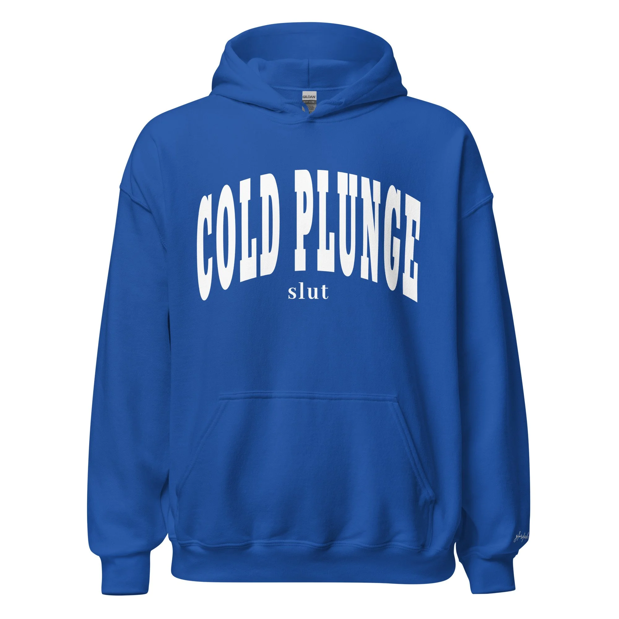 unisex-heavy-blend-hoodie-royal-front-6749e1237e4d8.jpg