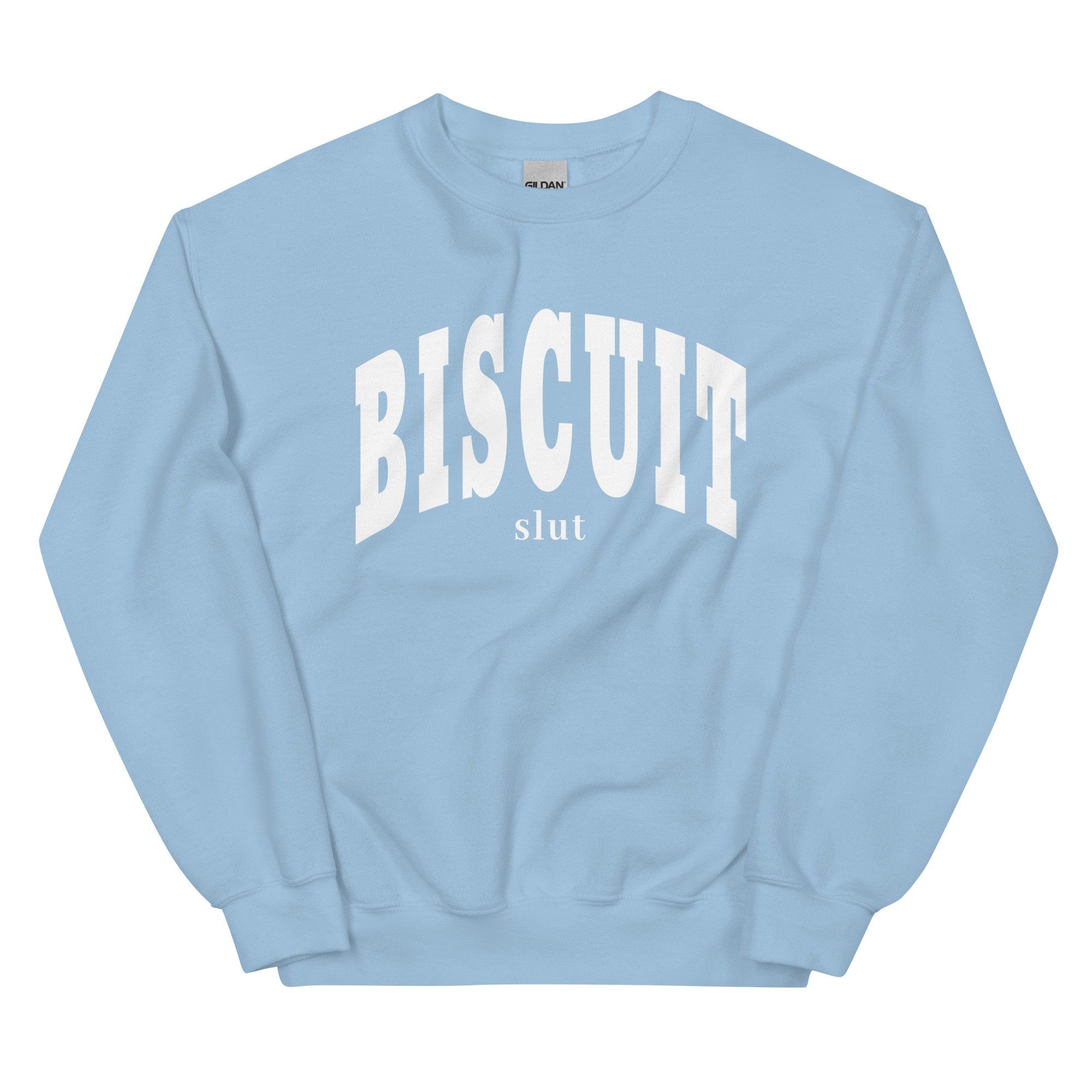 unisex-crew-neck-sweatshirt-light-blue-front-679aa00fc3fbd.jpg