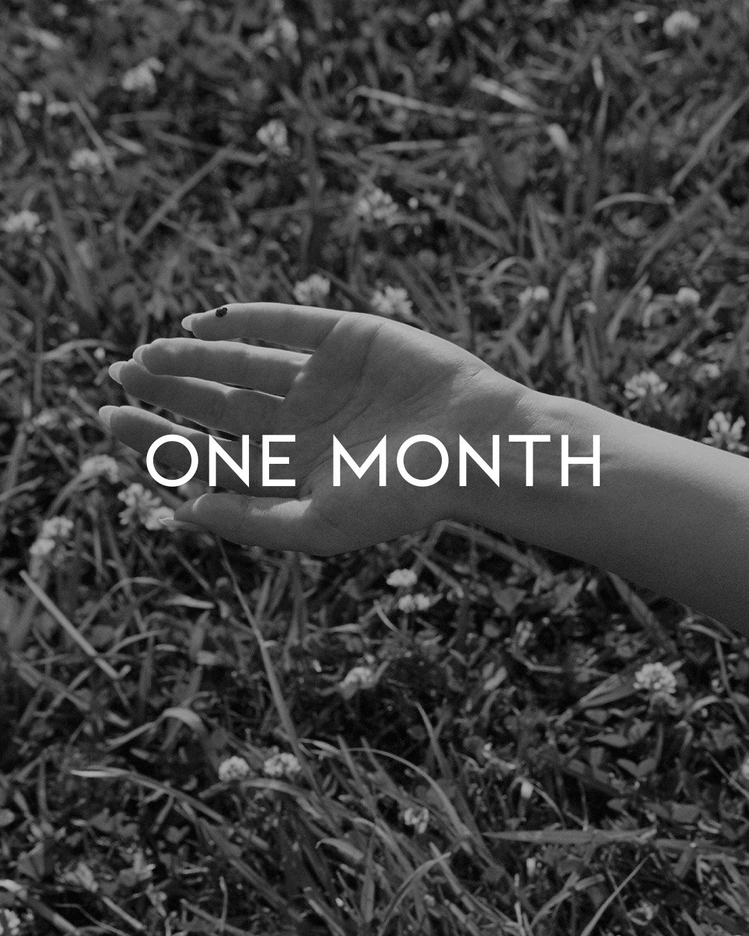 One Month.jpg
