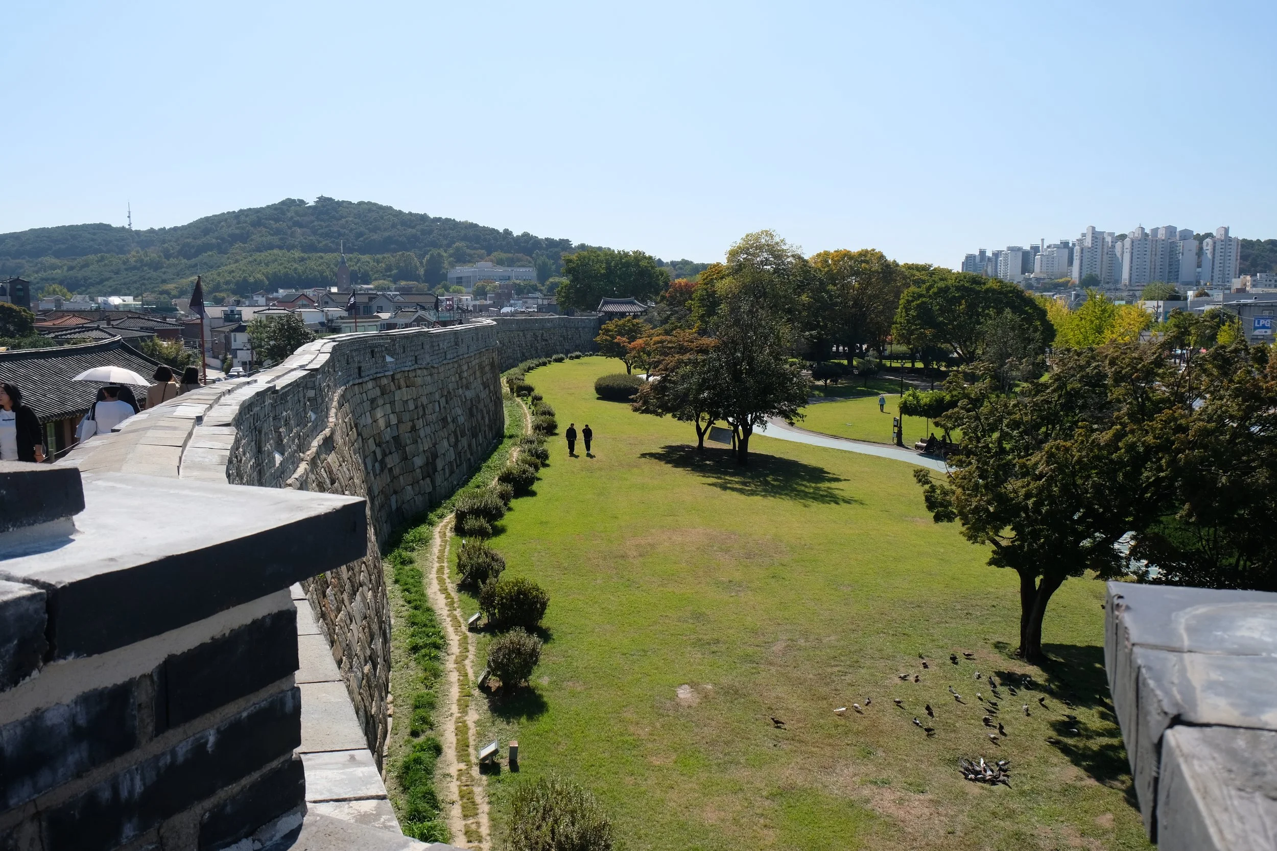 DSCF4105.JPG