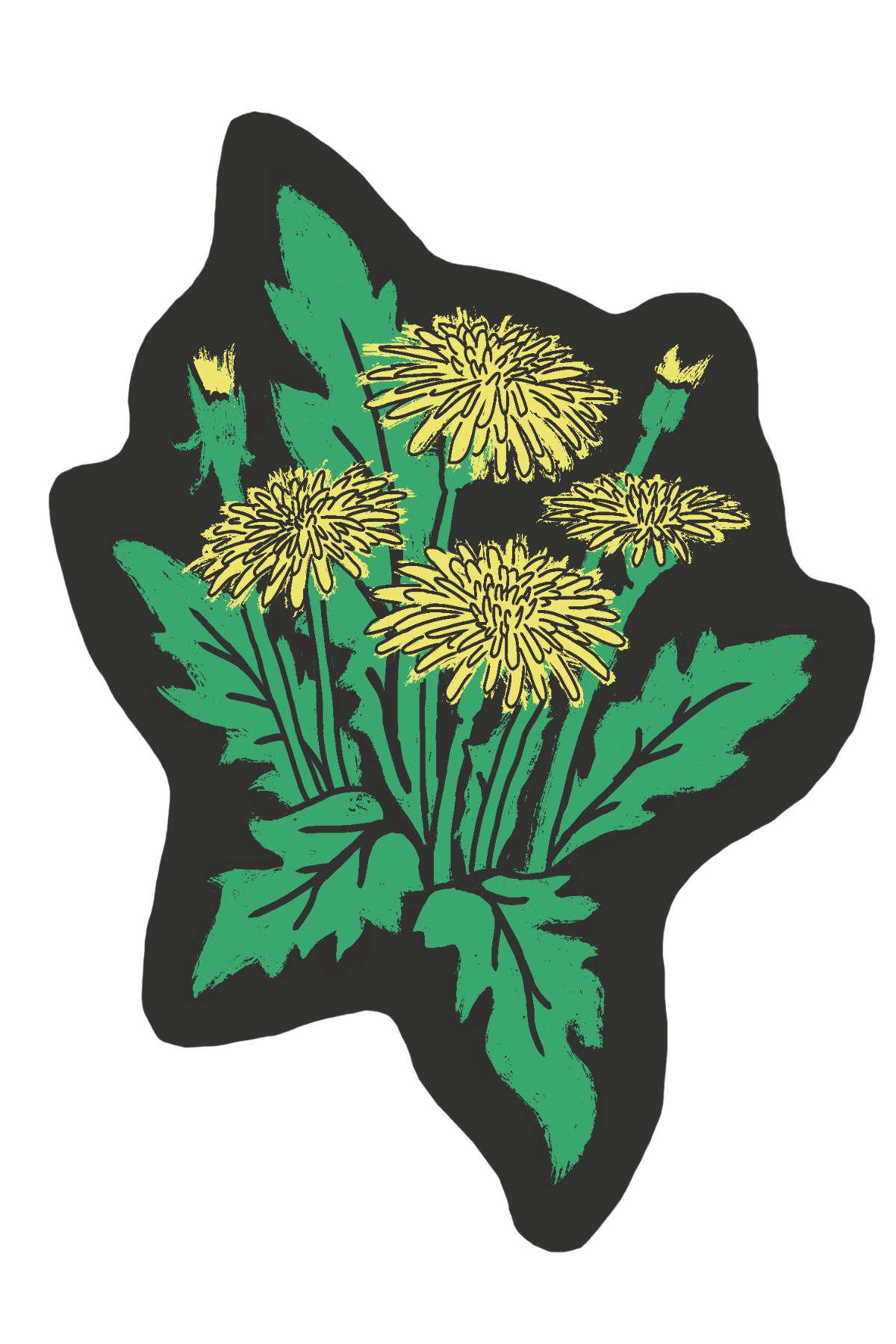 Dandelions Sticker
