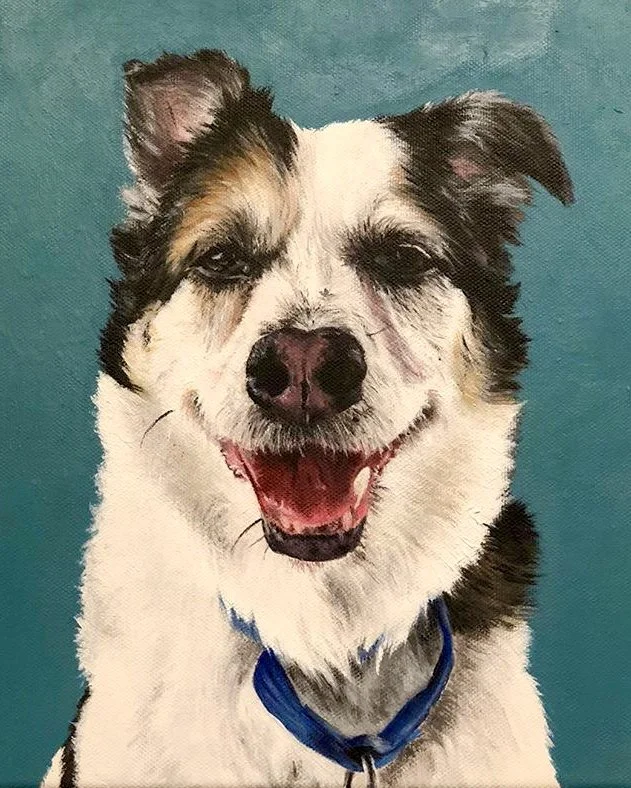 Painting of a happy dog with a black and white fluffy coat, smiling with eyes partly closed, and wearing a blue collar, set against a teal background.