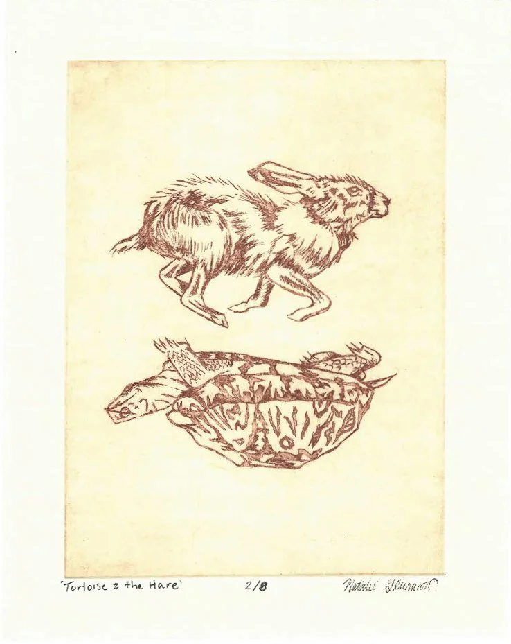 TortioseandHare-2.jpg