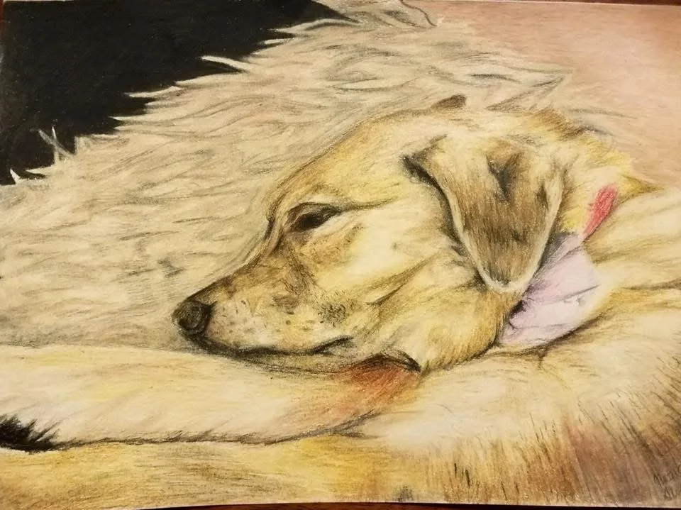 A colored pencil drawing of a sleeping dog, with its head resting on its forepaw and eyes closed, lying on a soft surface.