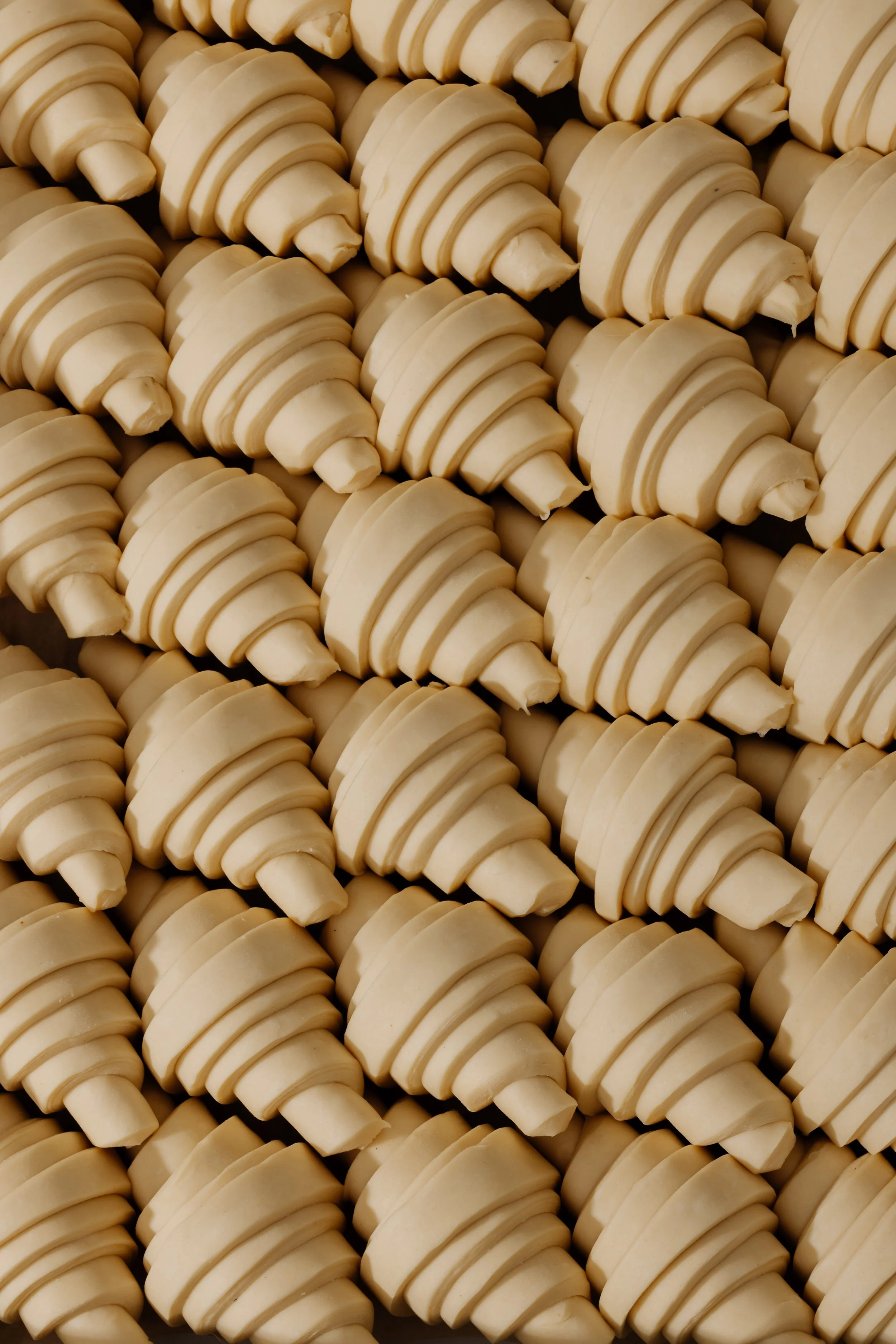 crumb_Sept2025055A9336.jpg