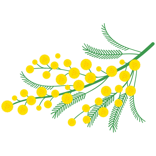 Mimosa Marketing Consulting simplify your approach