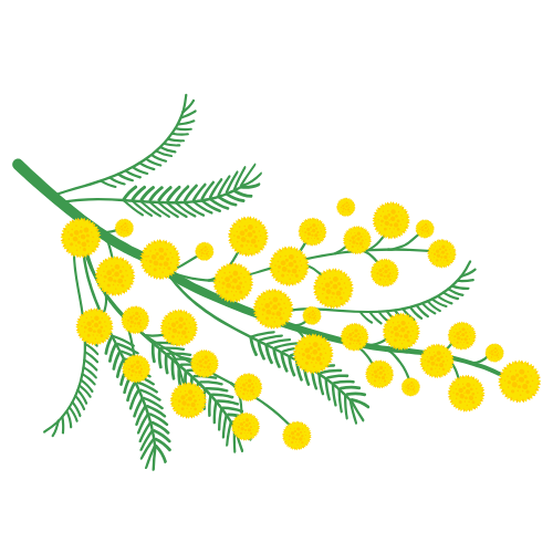Mimosa Marketing Consulting focus your message