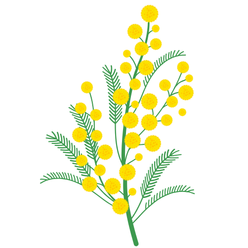 Mimosa Marketing Consulting