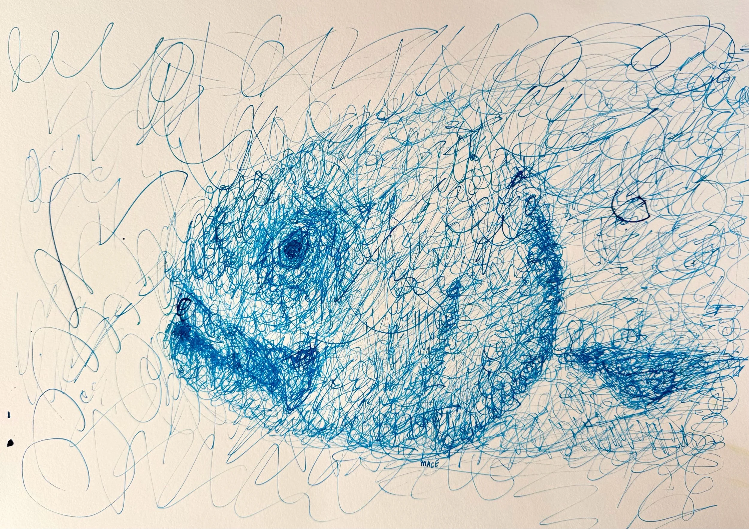 D63AA17D-75B6-4F5A-B7E6-FD380AC3DAB9.jpeg
