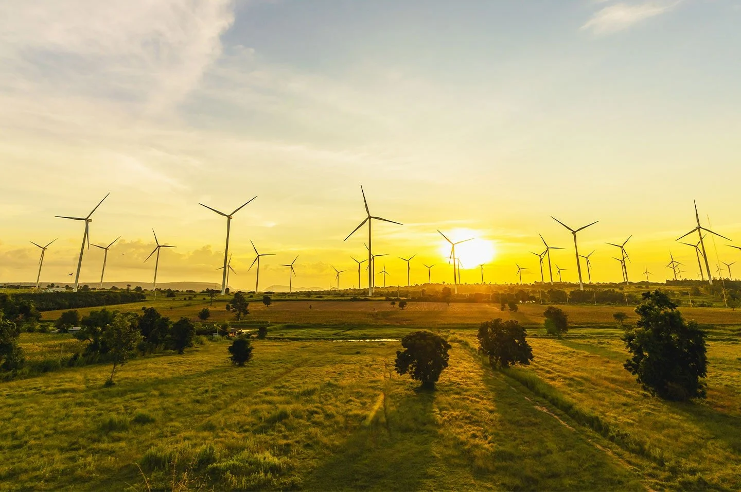 banner-wind-turbine-sun-trees-min.jpg