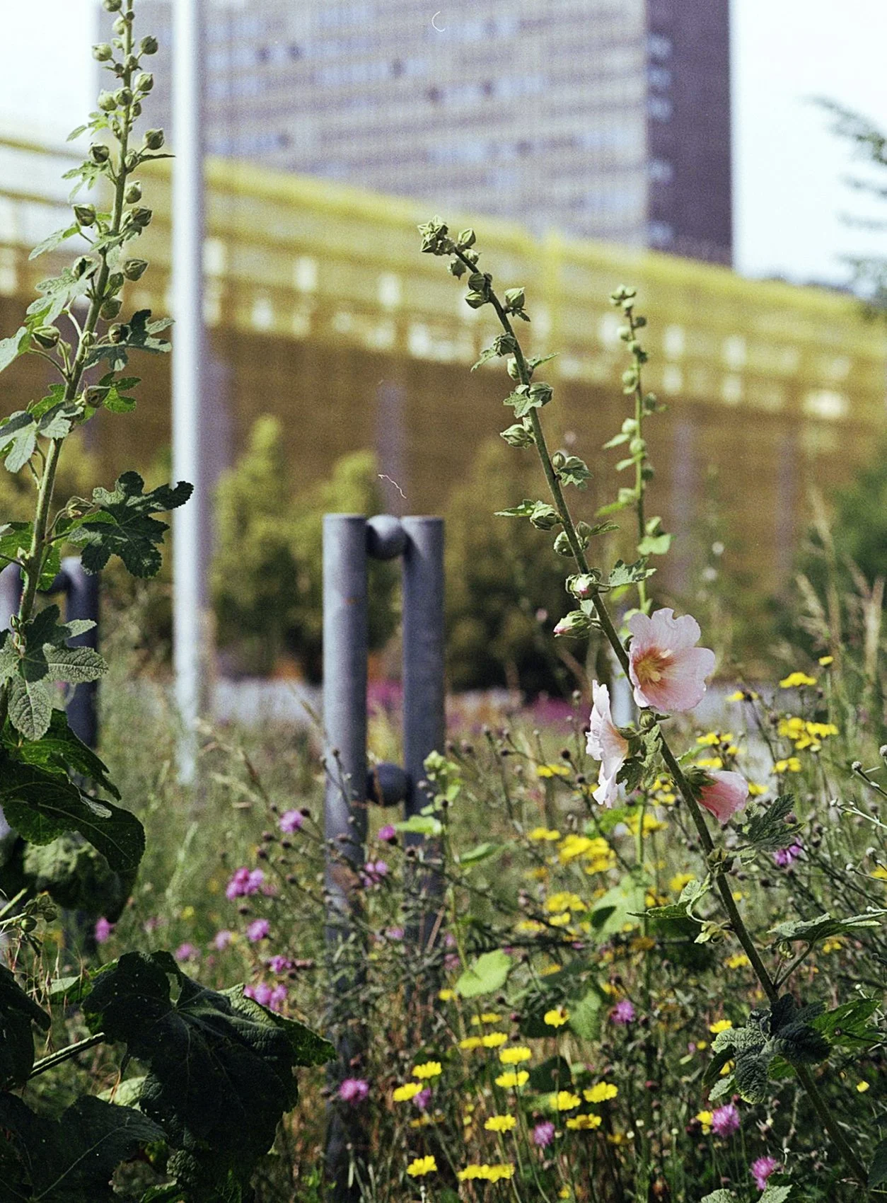 Blog Post Title Four (Copy) (Copy) (Copy) (Copy) (Copy) (Copy) (Copy) (Copy)