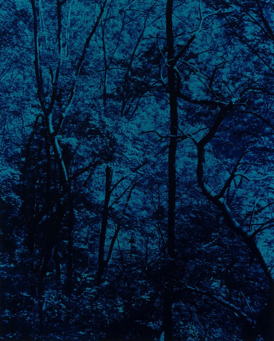 Blog Post Title Four (Copy) (Copy) (Copy) (Copy) (Copy) (Copy) (Copy) (Copy) (Copy) (Copy) (Copy) (Copy) (Copy) (Copy) (Copy) (Copy) (Copy) (Copy) (Copy) (Copy) (Copy) (Copy) (Copy) (Copy) (Cop (Copy)