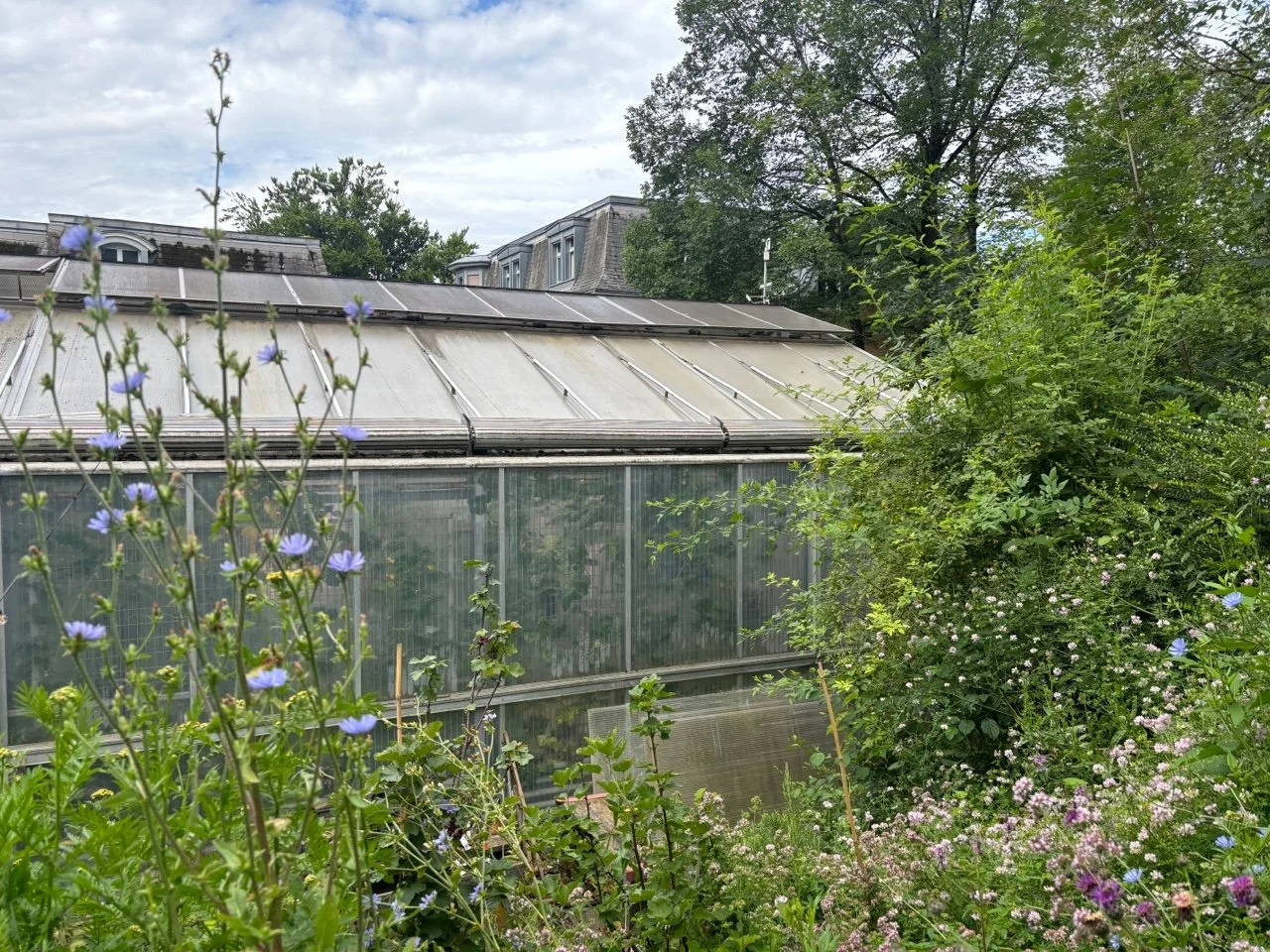 Blog Post Title Four (Copy) (Copy) (Copy) (Copy) (Copy) (Copy) (Copy) (Copy) (Copy) (Copy) (Copy) (Copy) (Copy) (Copy)