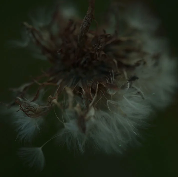 Blog Post Title Four (Copy) (Copy) (Copy) (Copy) (Copy)