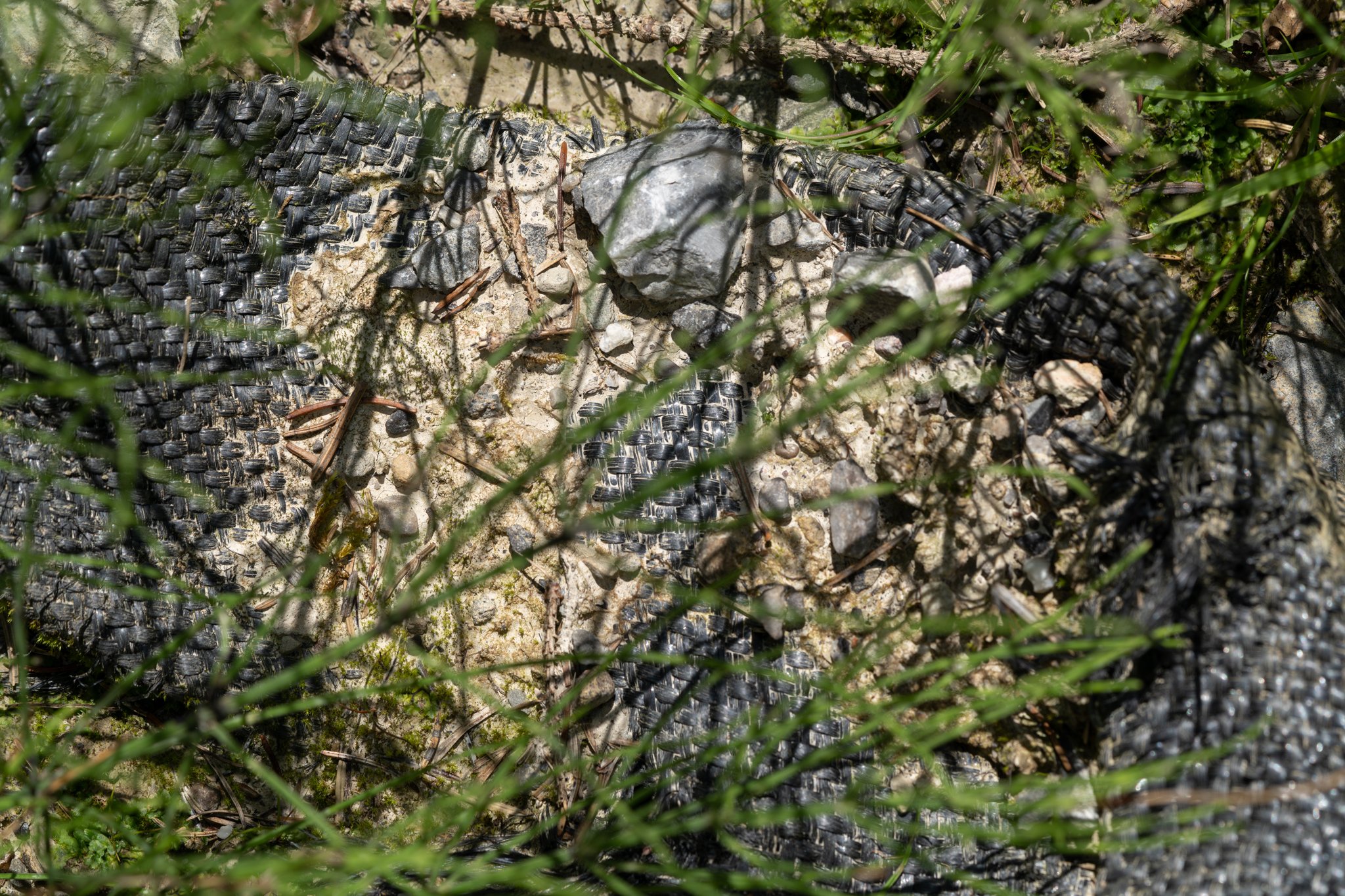 Blog Post Title Four (Copy) (Copy) (Copy) (Copy) (Copy) (Copy) (Copy) (Copy) (Copy) (Copy) (Copy) (Copy) (Copy) (Copy) (Copy) (Copy) (Copy) (Copy) (Copy) (Copy) (Copy) (Copy) (Copy) (Copy) (Cop (Copy)