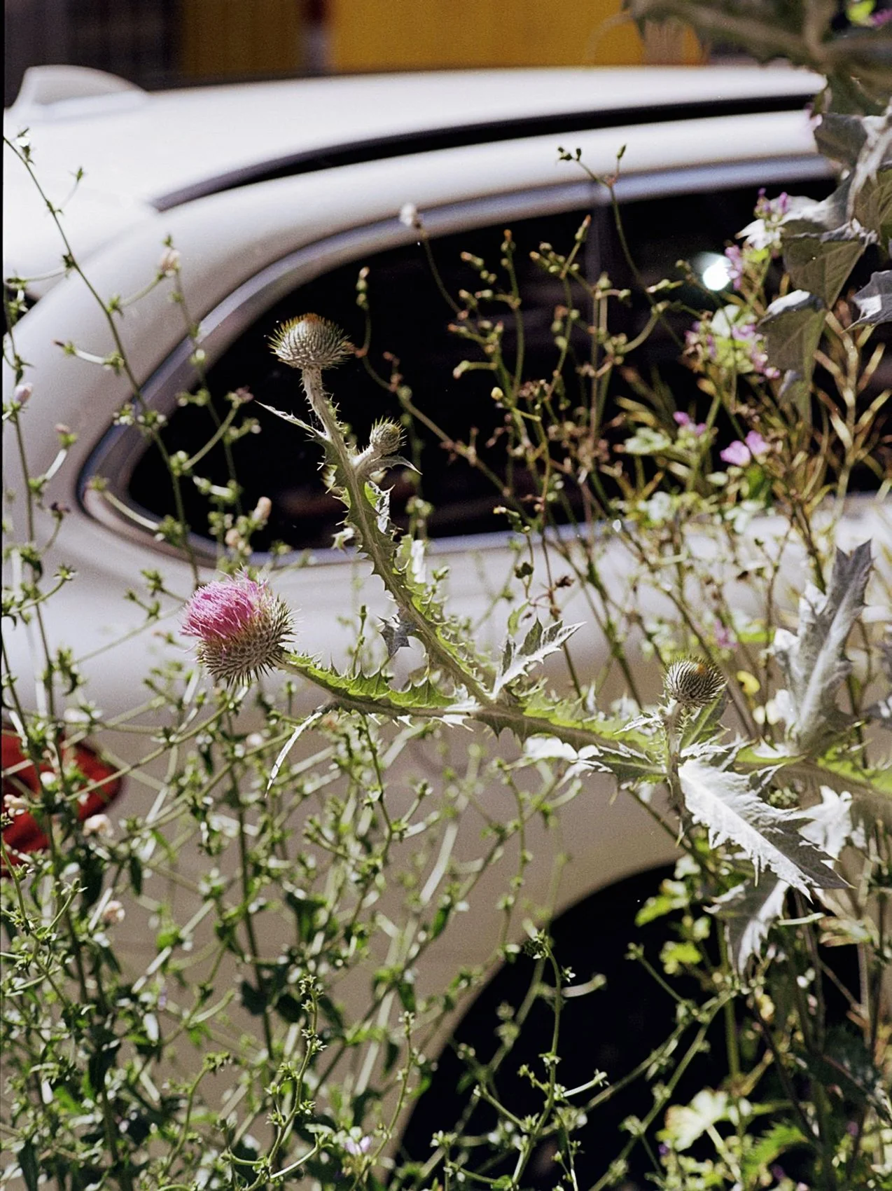 Blog Post Title Four (Copy) (Copy) (Copy) (Copy) (Copy) (Copy) (Copy) (Copy) (Copy)