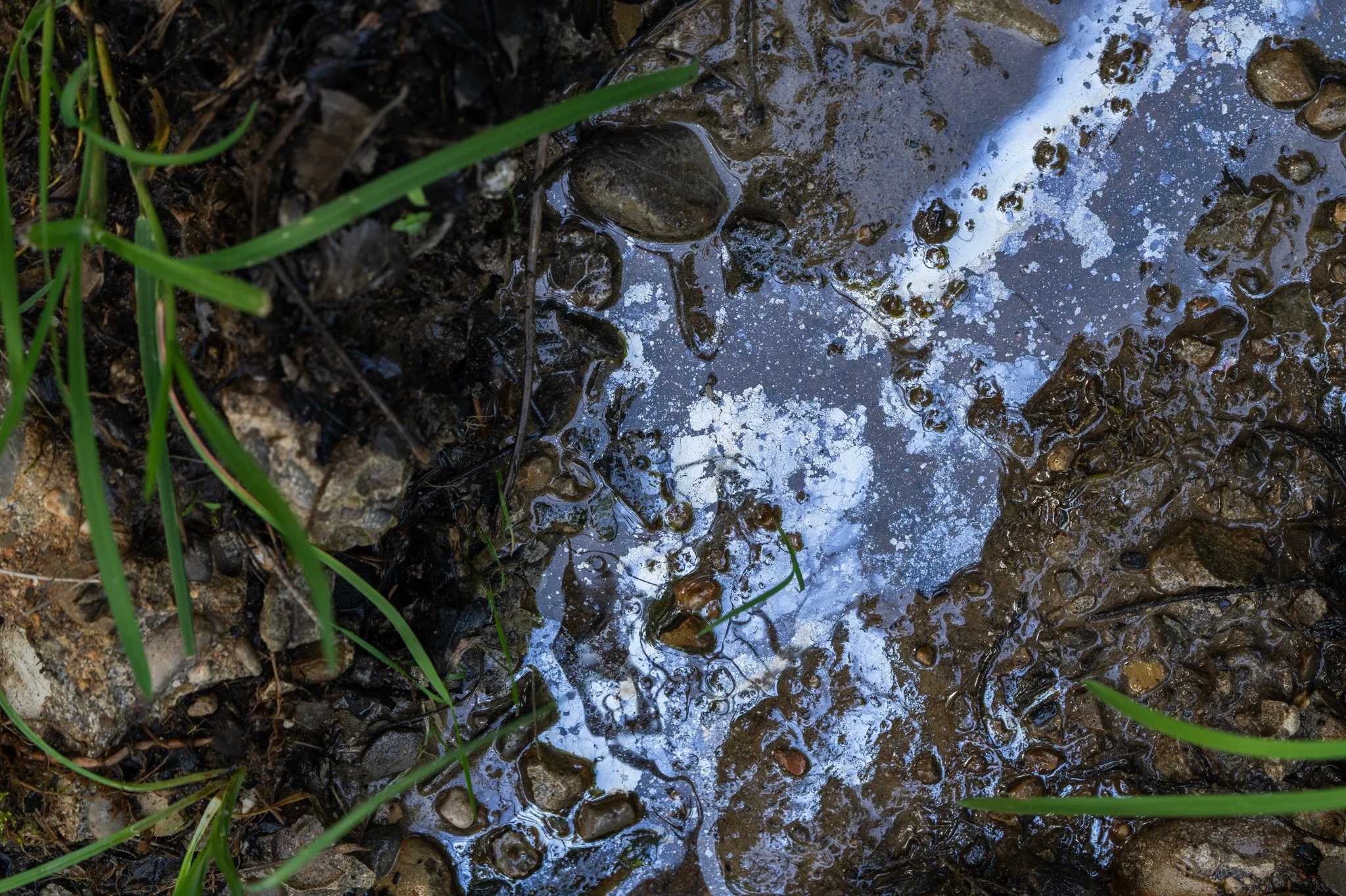 Blog Post Title Four (Copy) (Copy) (Copy) (Copy) (Copy) (Copy) (Copy) (Copy) (Copy) (Copy) (Copy) (Copy) (Copy) (Copy) (Copy) (Copy) (Copy) (Copy) (Copy) (Copy) (Copy) (Copy) (Copy) (Copy) (Cop (Copy)